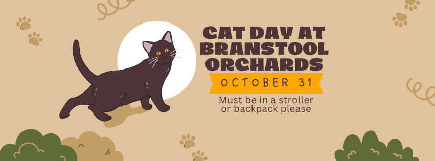 Cat Day at the Orchards
