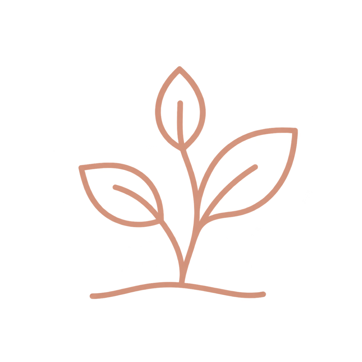 Stylized line drawing of a plant with three leaves and a small stem, outline in light brown color.