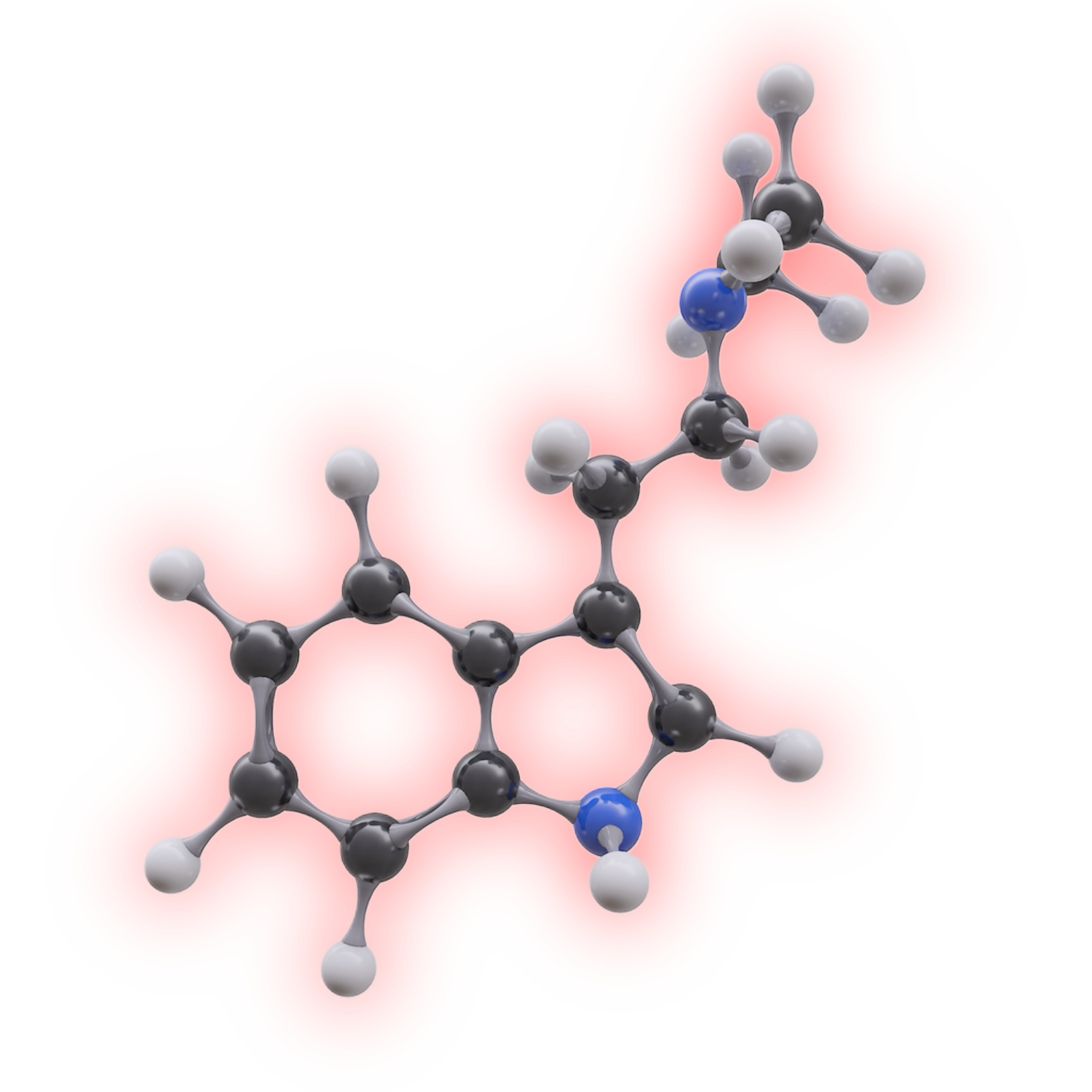 Psychedelic Integration Services