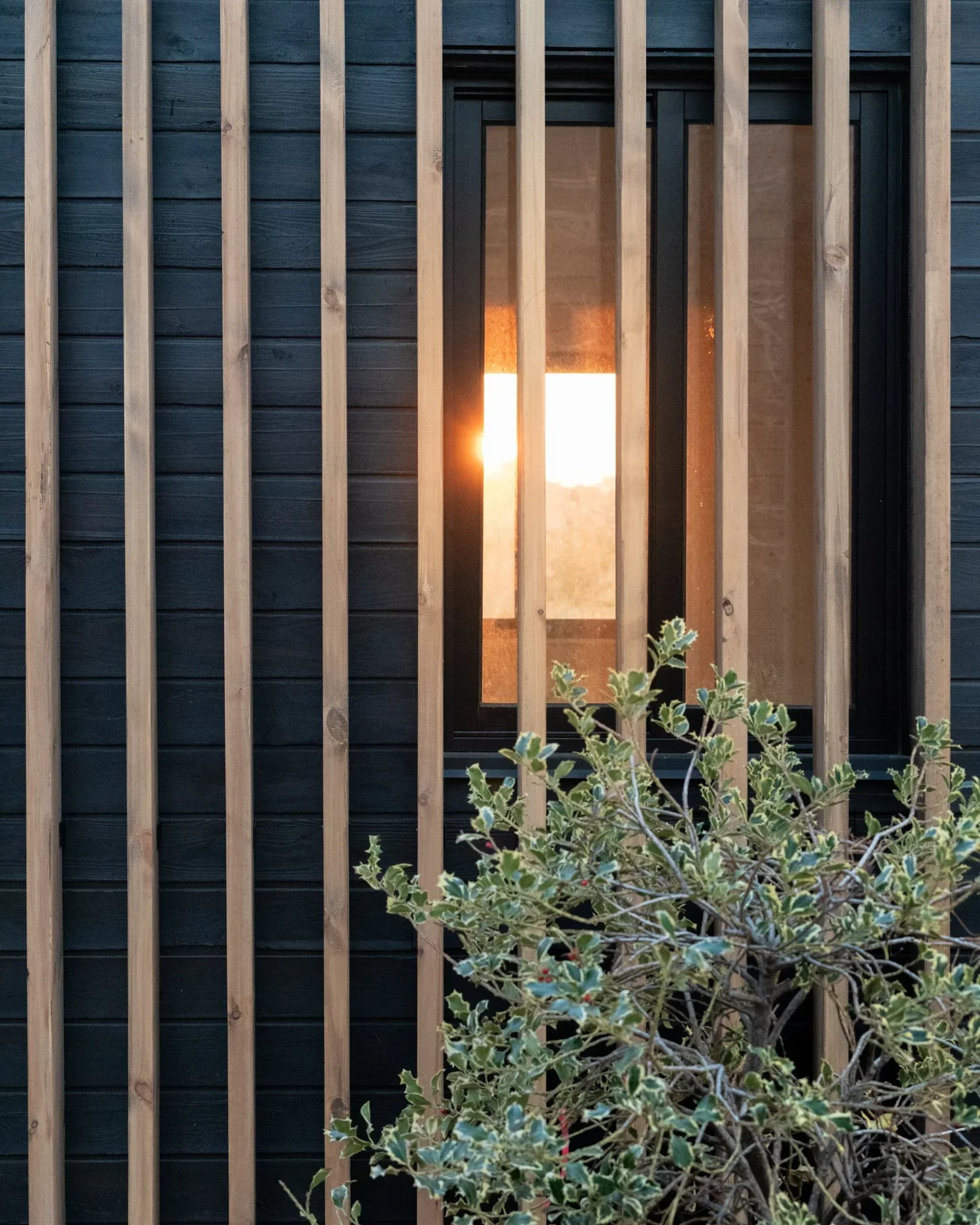 A window with vertical wooden slats partially blocking the view of the sunset outside. The window is set into a dark blue wooden wall, and there is a plant with green and white variegated leaves in the foreground.