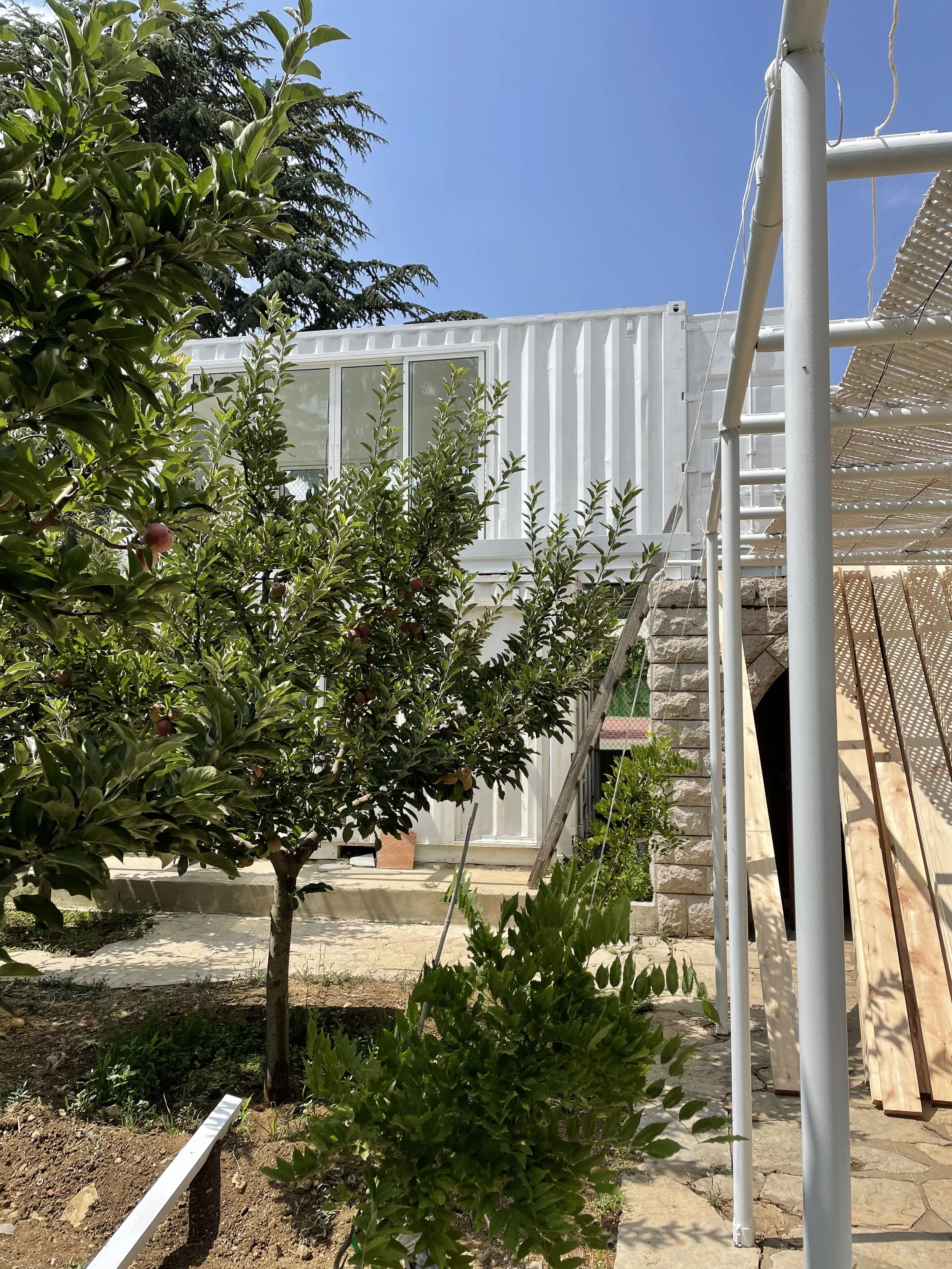 A small orchard with a young apple tree in the foreground, a white container house with large windows behind it, and some construction or garden structures to the right. The sky is clear and blue.