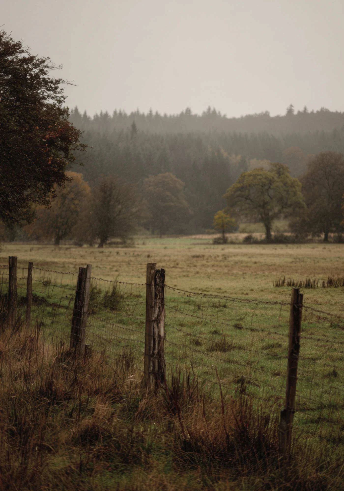 Wired fence on countryside field on a cloudy day with trees in the distance.