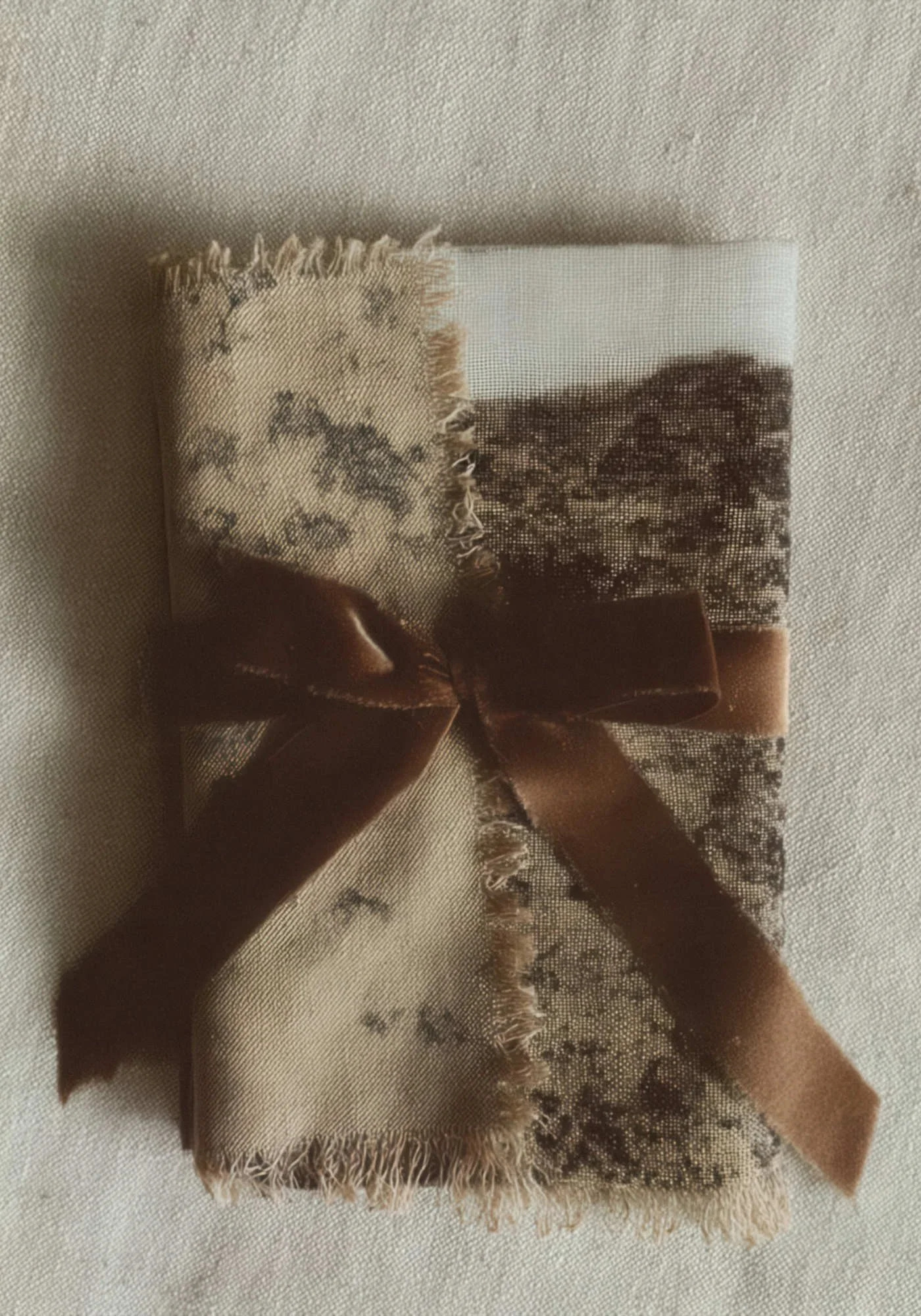 Rustic cloth wrapped in brown bow.