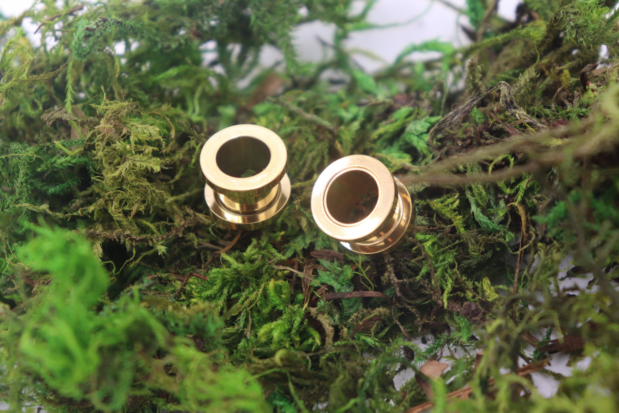 Gold screwback 5.JPG