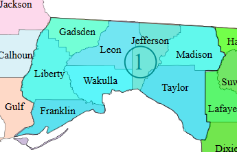 Map of a county with various regions labeled, including Gadsden, Jefferson, Madison, Leon, Wakulla, Taylor, Liberty, Franklin, Gulf, Lafayette, Suwannee, and Dixon, with a central marker labeled '1'.