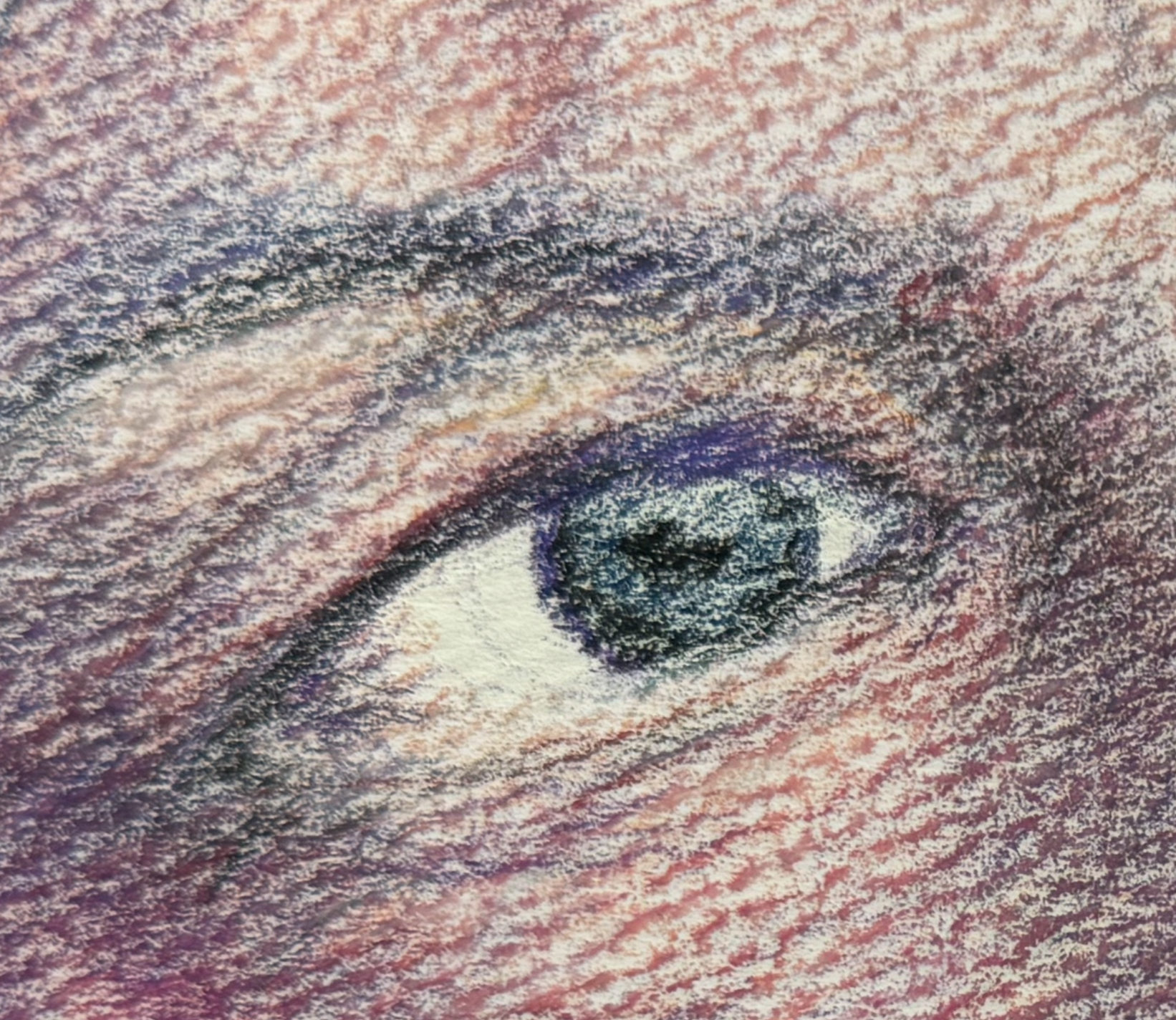 oriana's right eye.png