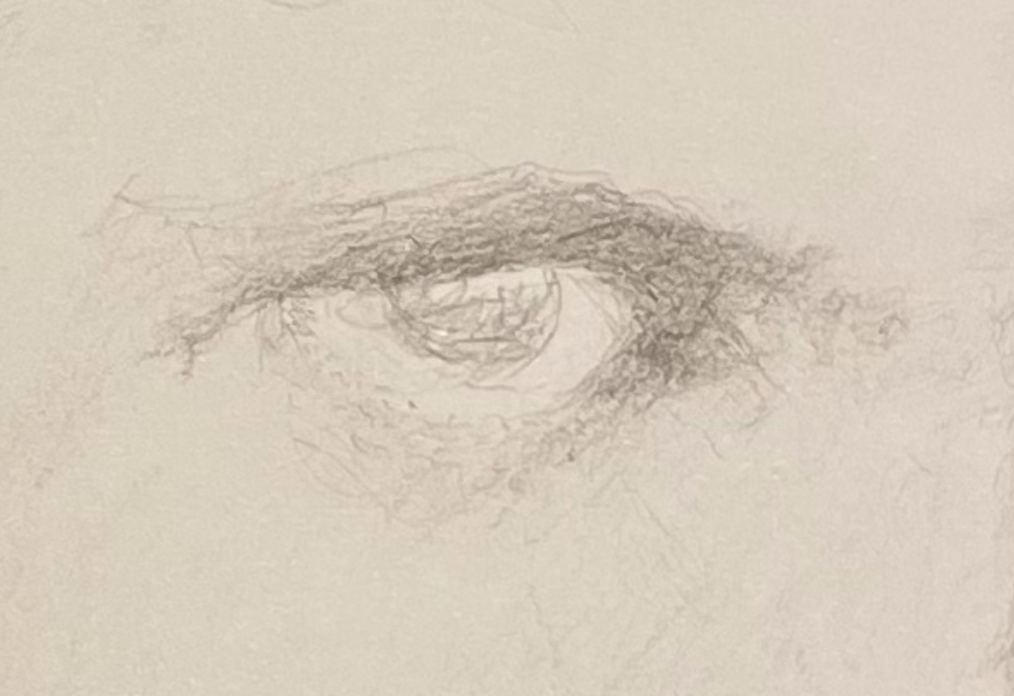Morisot's right eye.png