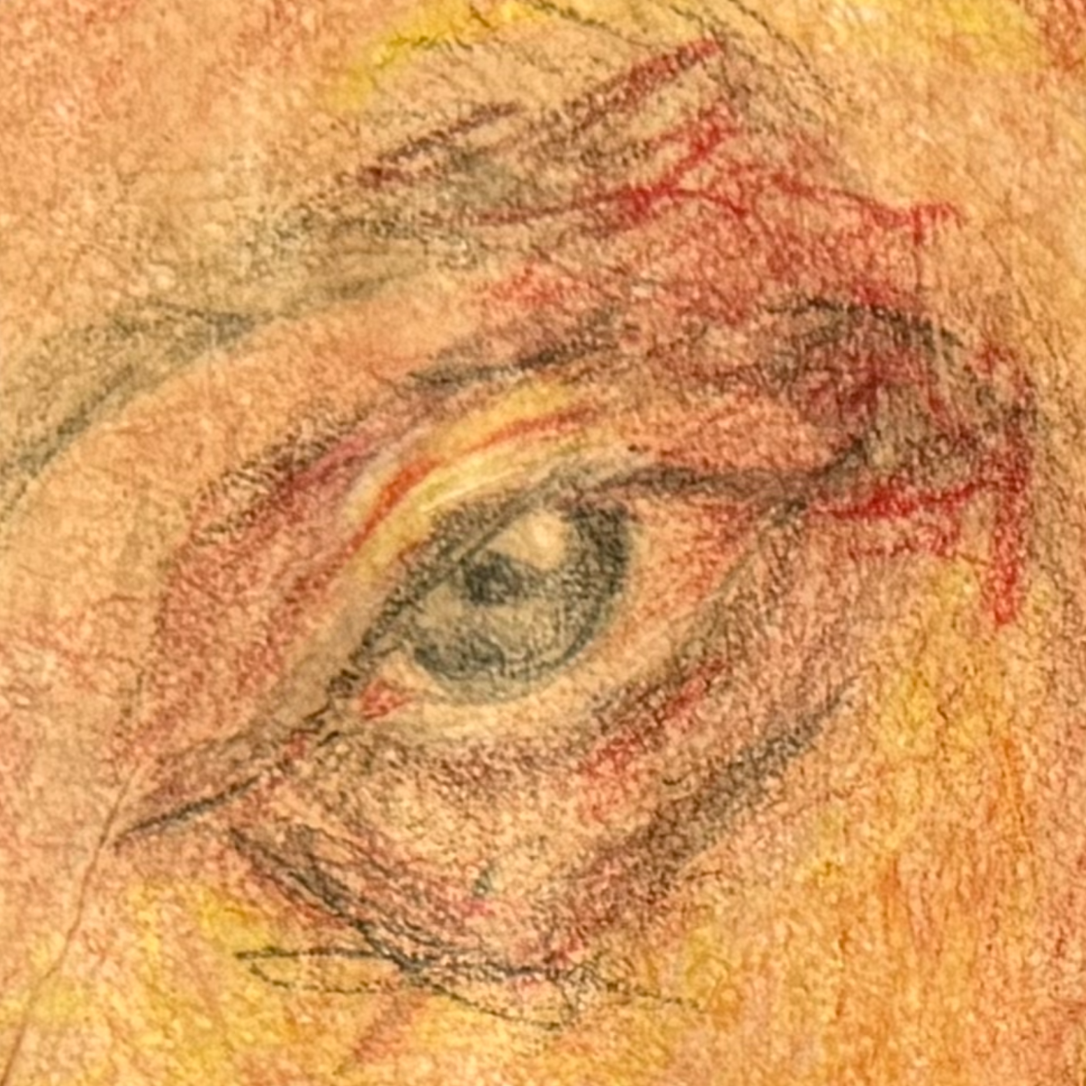 junkie's right eye.png