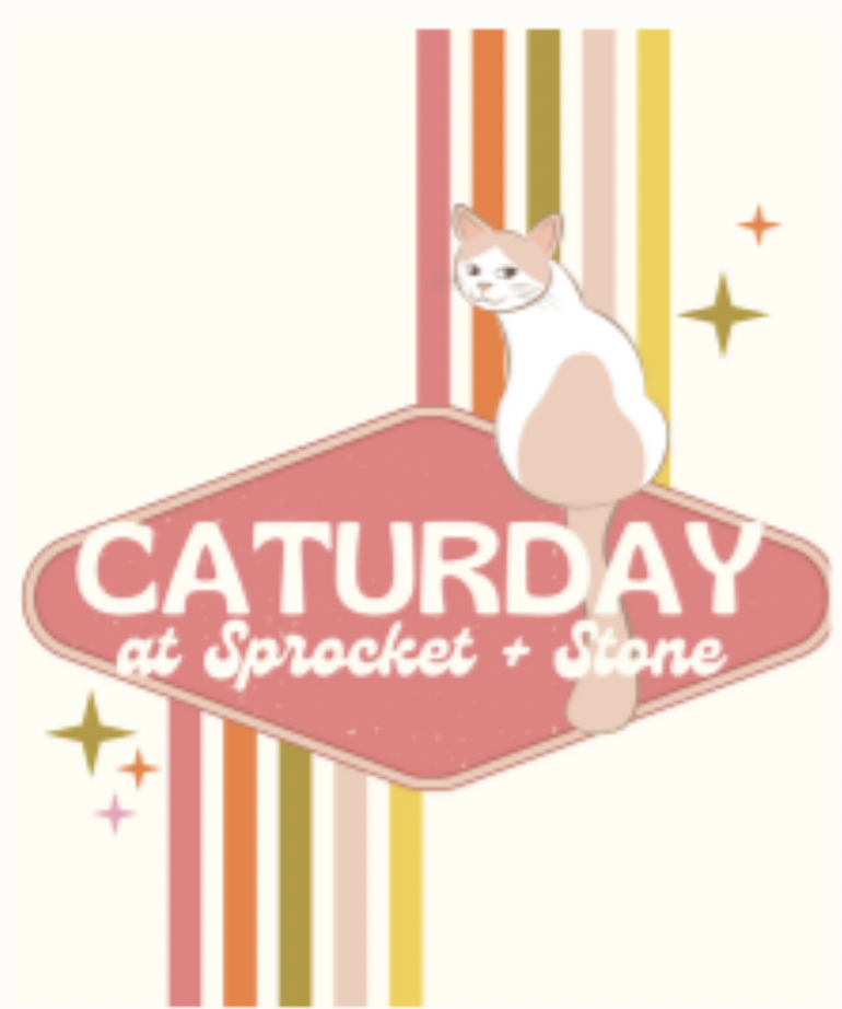 Caturday at Sprocket &amp; Stone