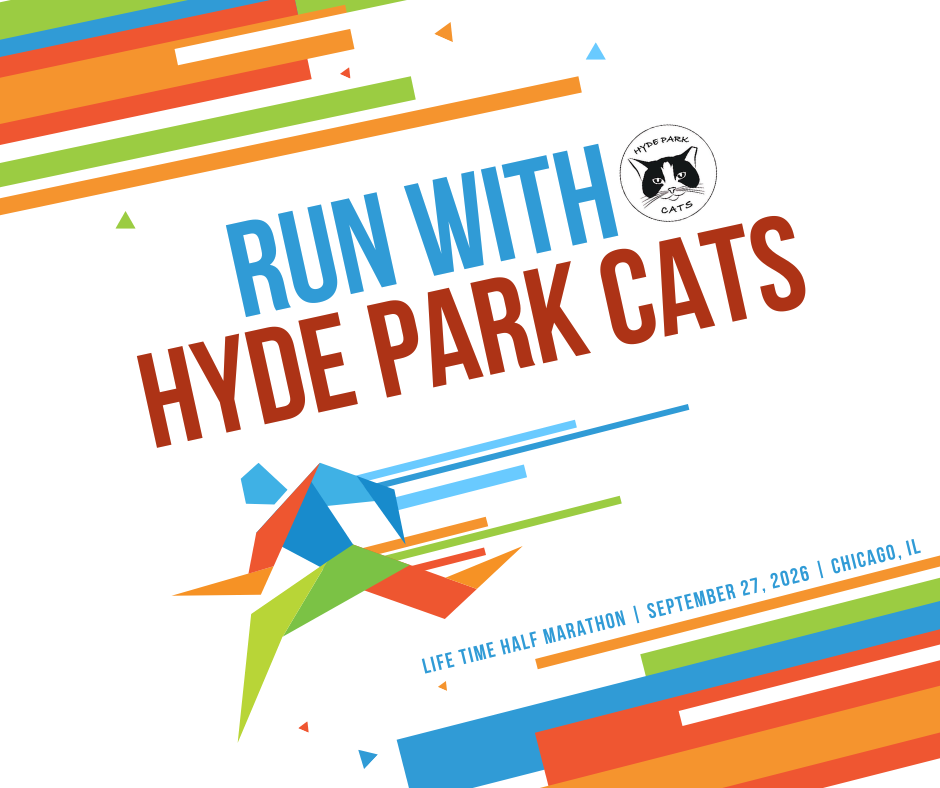 Run with Hyde Park Cats