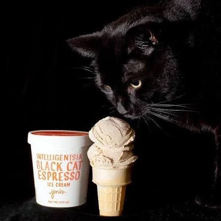 Jeni's Ice Cream Social Fundraiser