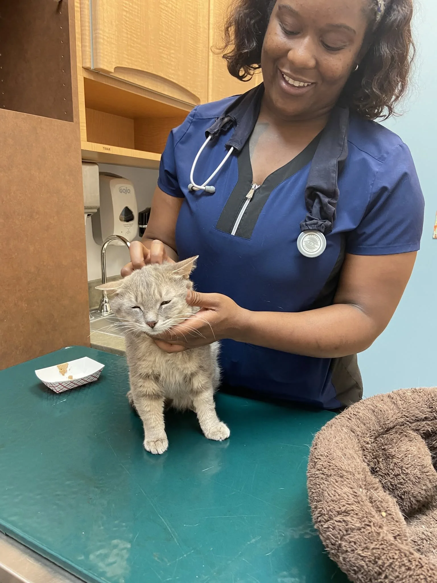 kitty at vet.jpg