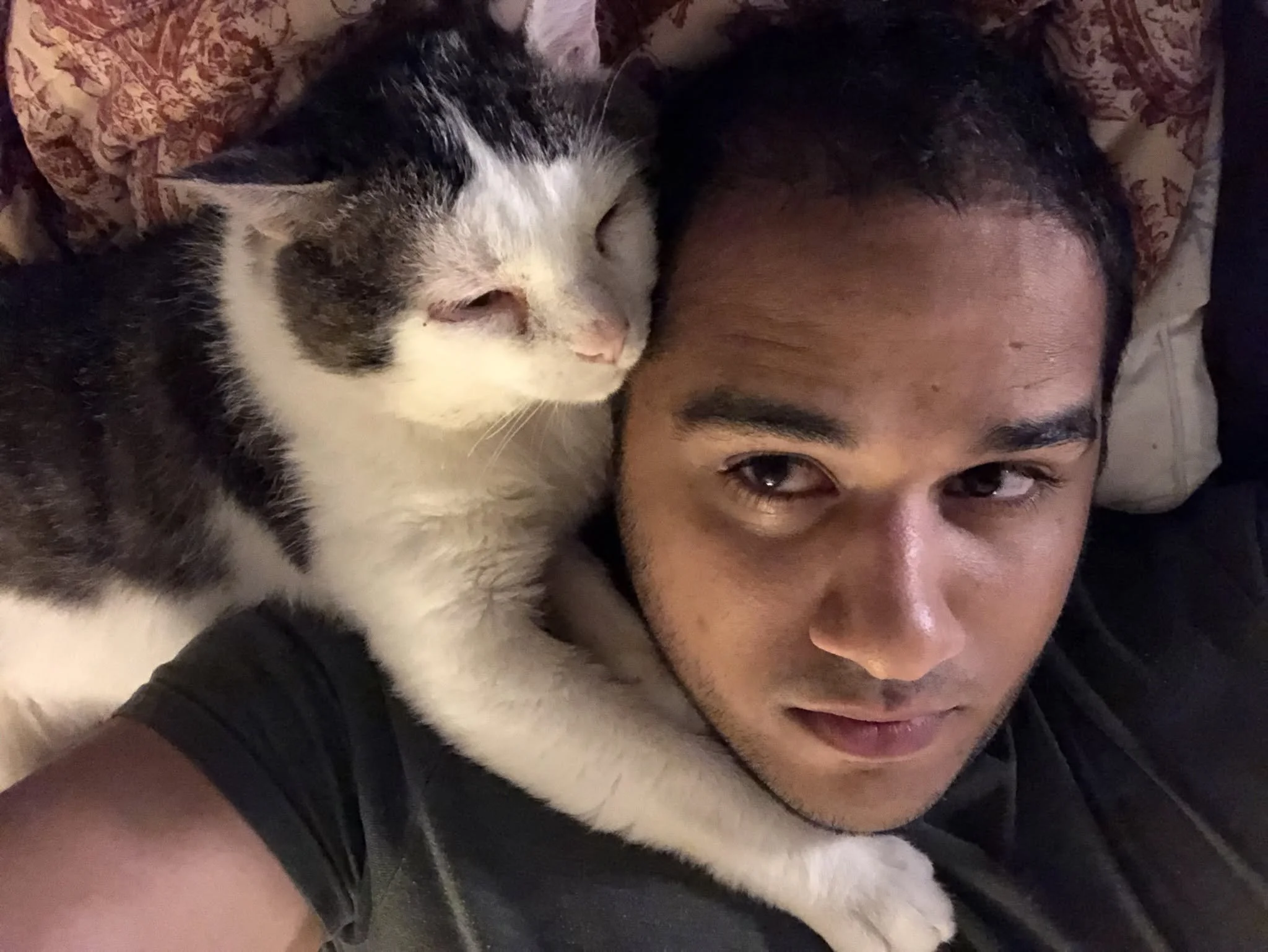 cat and his human.jpg