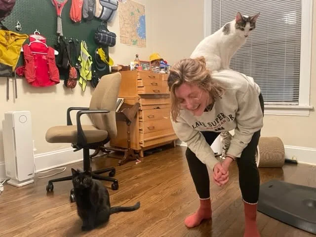 cat climbing on back of volunteer.jpg