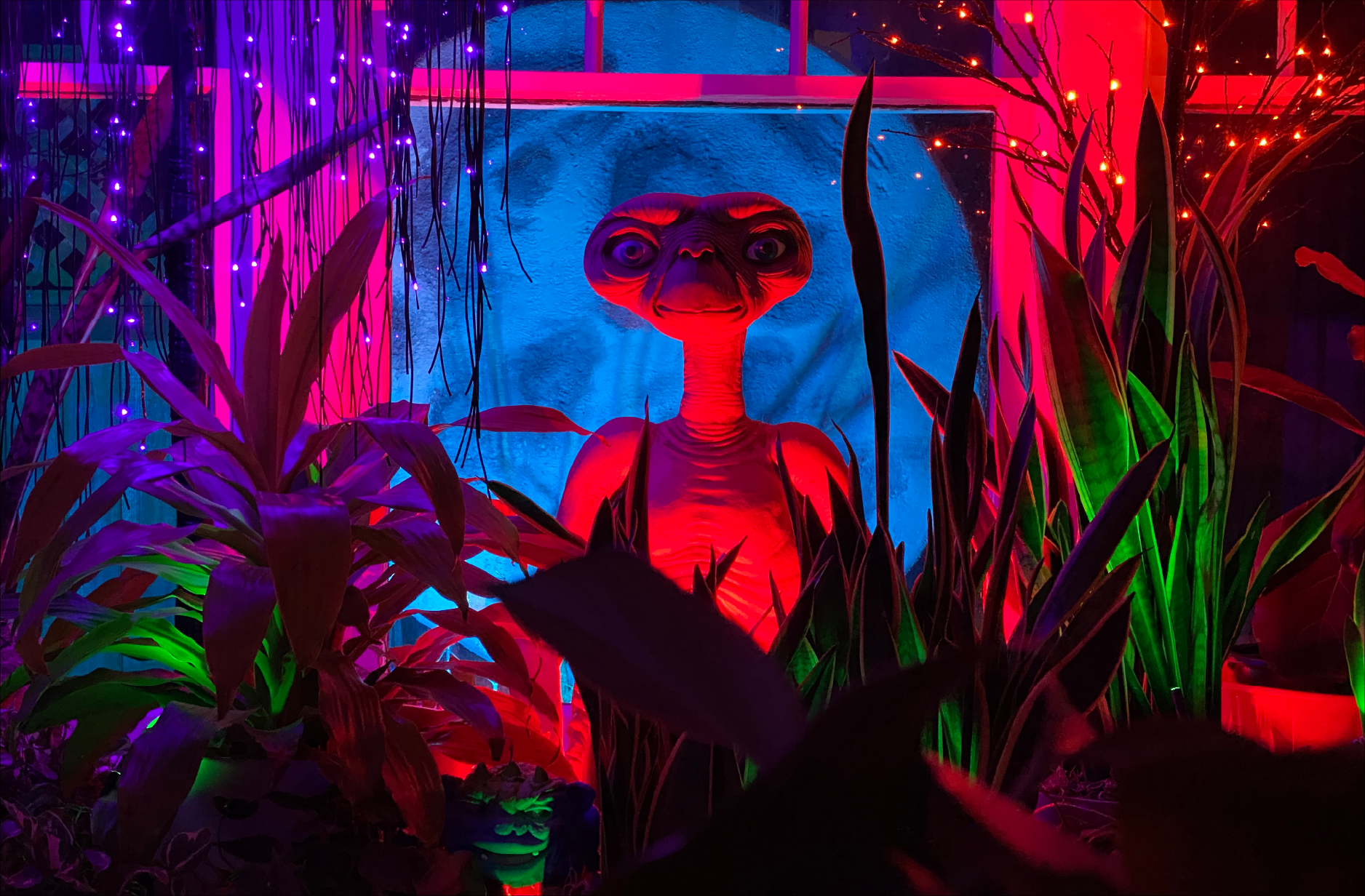 WR_NeonLeaves_ET Final Installation 1.png