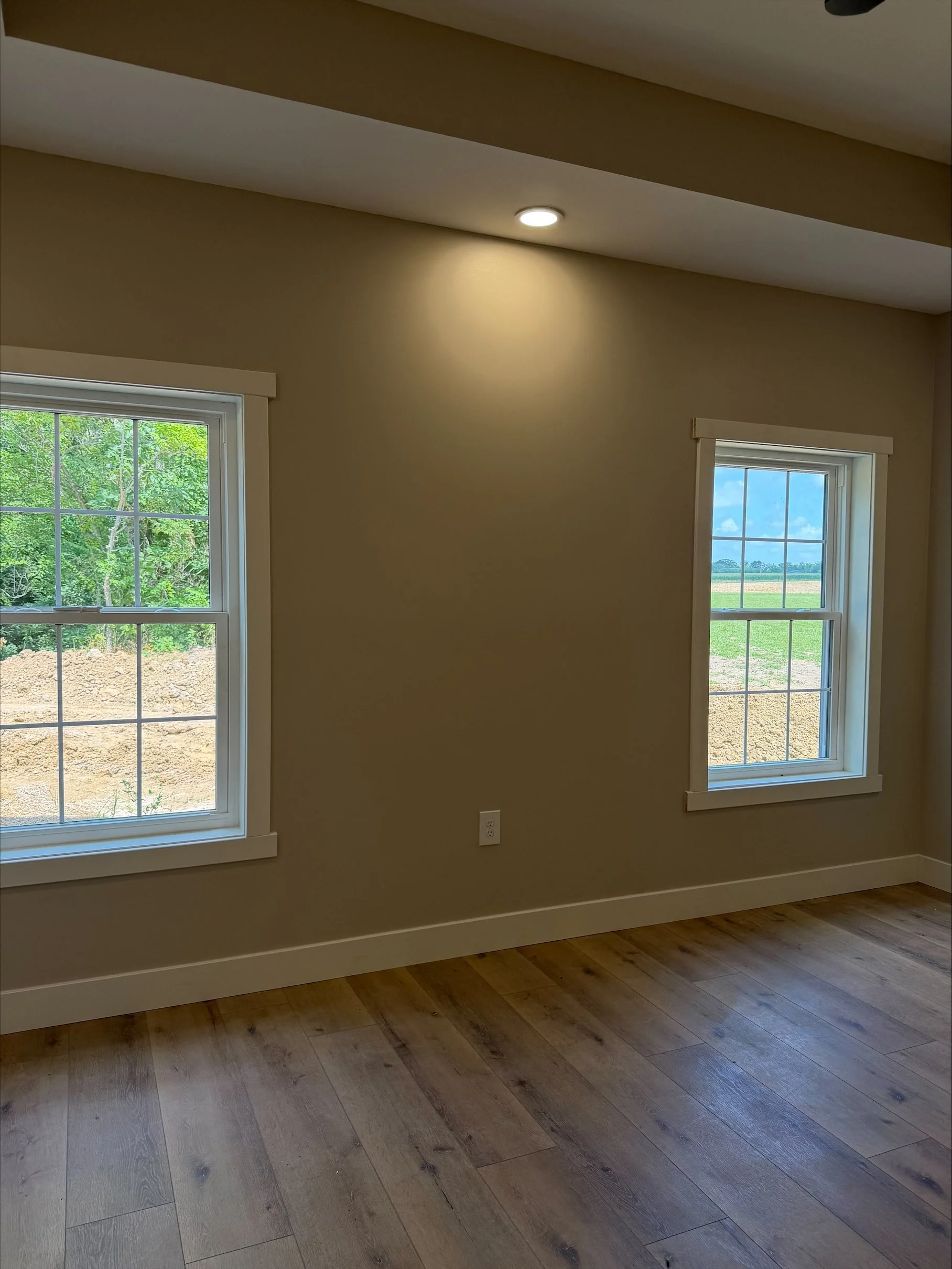 Interior of a room with beige walls, two white-framed windows showing green trees and blue sky outside, wooden flooring, and a recessed ceiling light turned on.