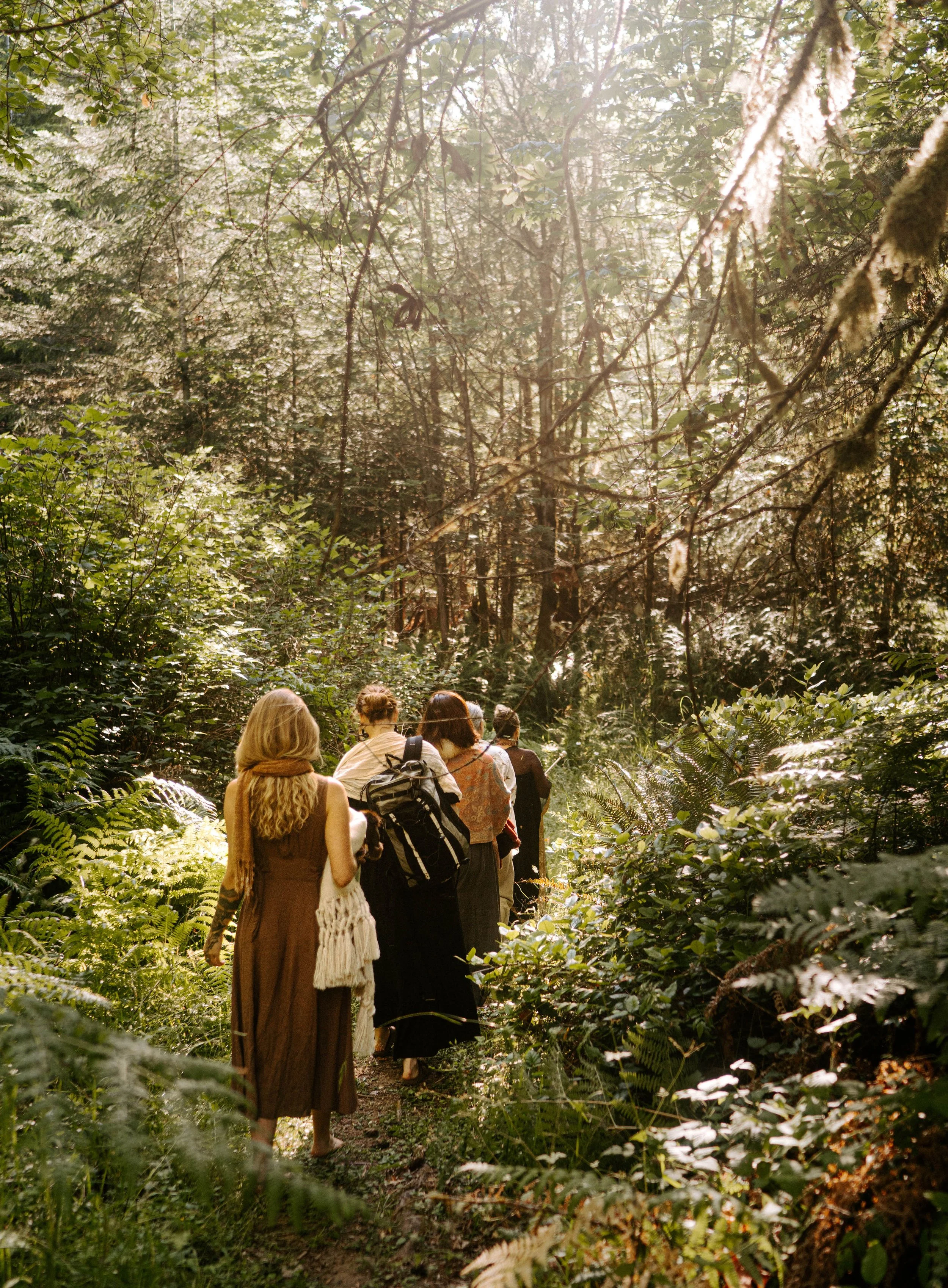Group of people walking through a dense, lush forest with sunlight filtering through the trees.