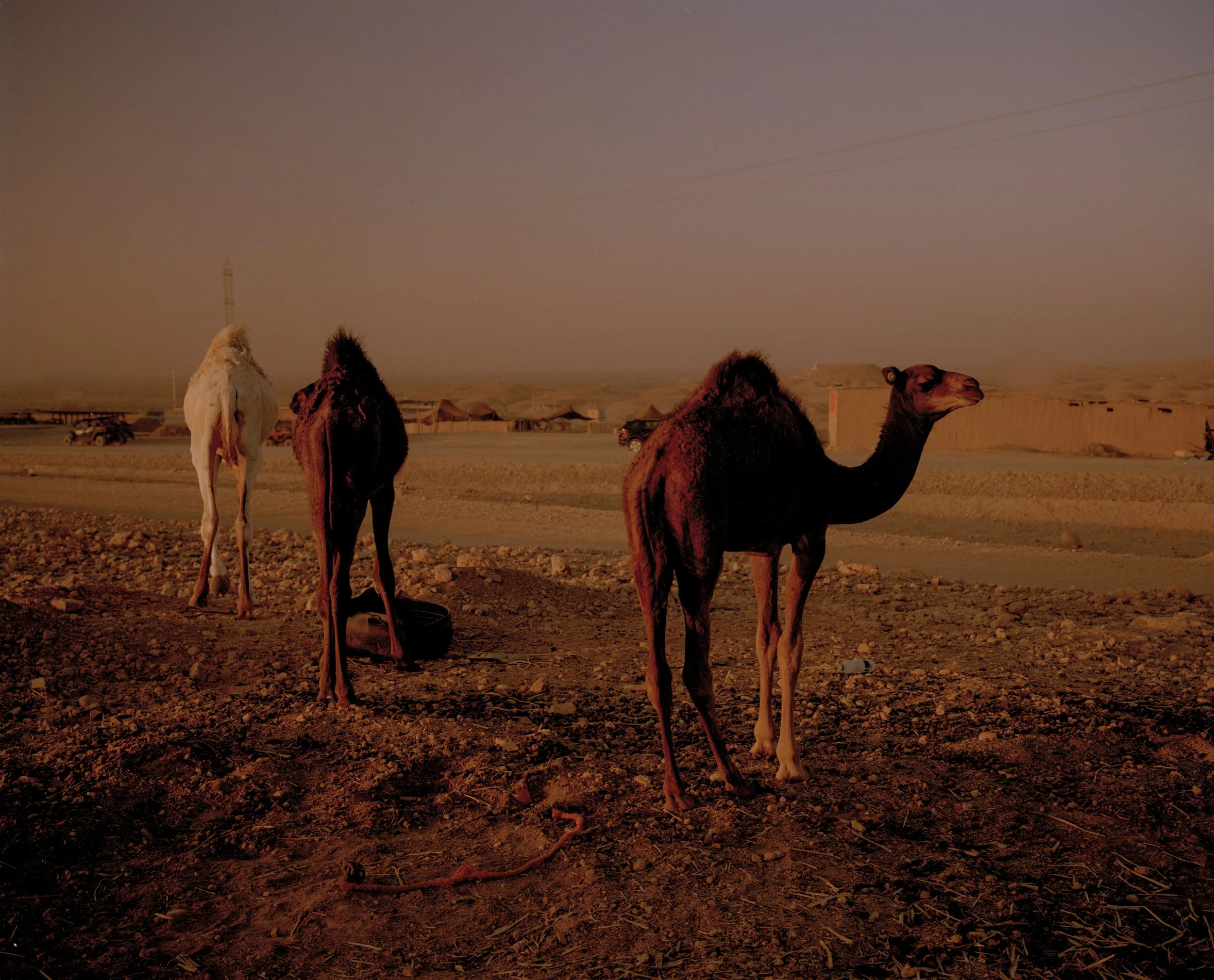 maroc89.jpg