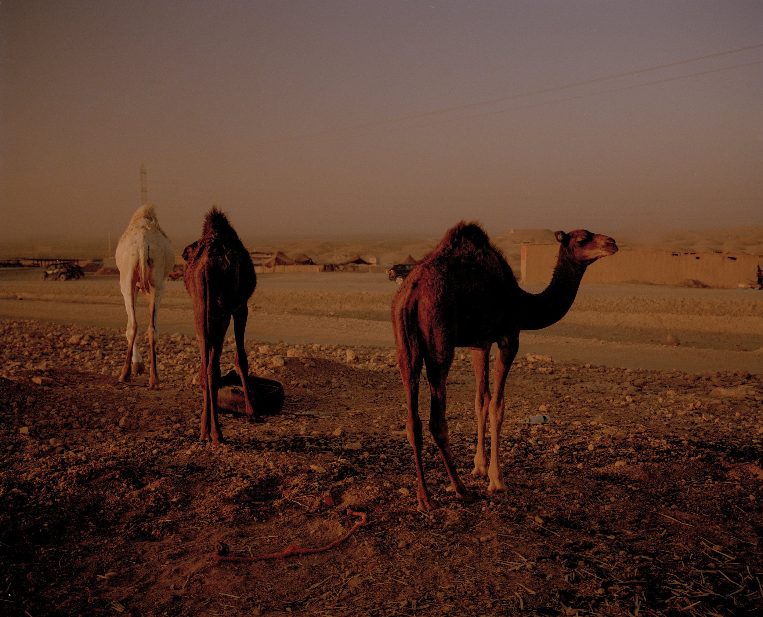 maroc89.jpg