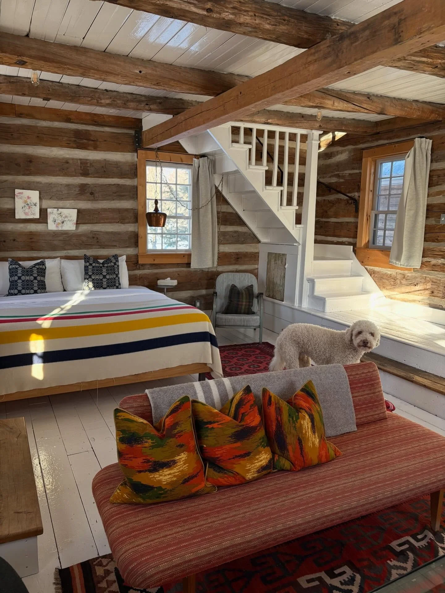 Some winters demand a fireplace and a long bath in a log cabin.
Gary, pictured, arrived with serious star power and a preference for natural sunset light.
Babylon is dog-friendly.
Book your winter escape.

#PrinceEdwardCounty #CabinCulture #WinterSta