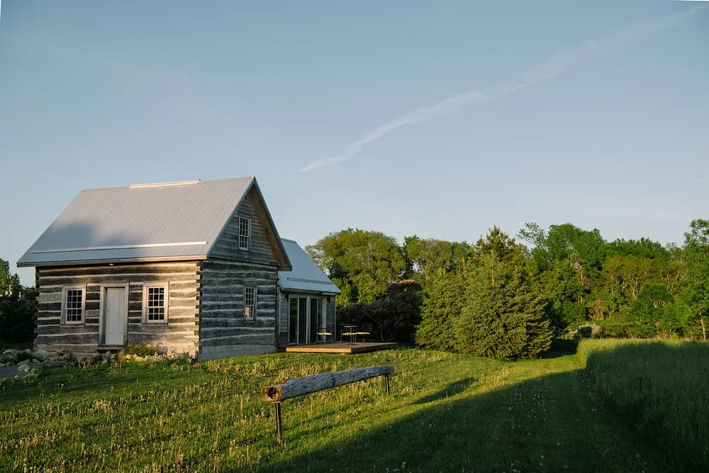 A rustic log cabin with a metal roof, surrounded by green grass and trees, under a clear blue sky.