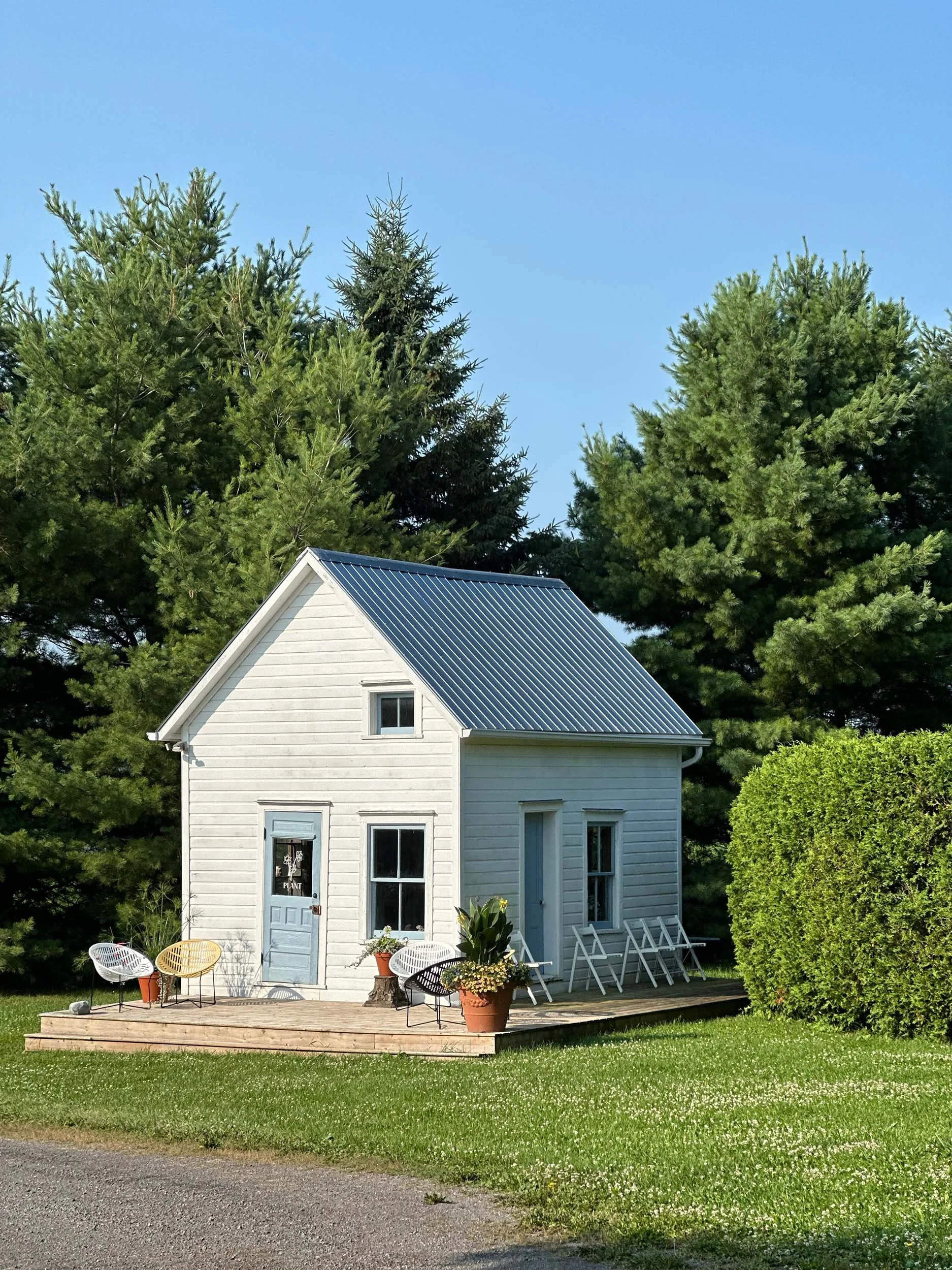 White house with a blue metal roof, surrounded by green trees and bushes, with a wooden deck and outdoor chairs and potted plants in the foreground under a clear blue sky.