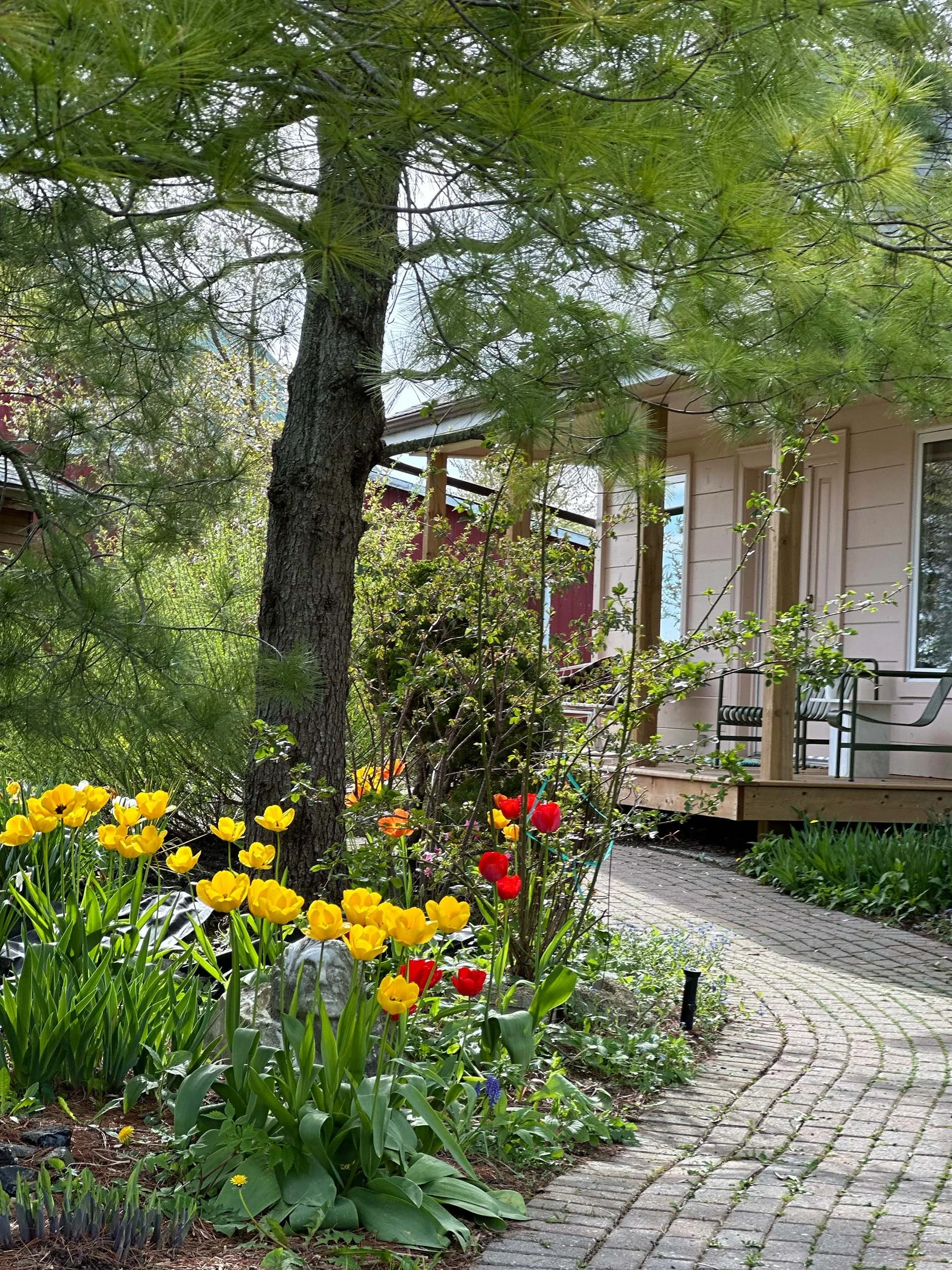 A lush garden with vibrant yellow, red, and purple flowers along a curved brick pathway leading to a house with a porch, surrounded by green trees and plants.