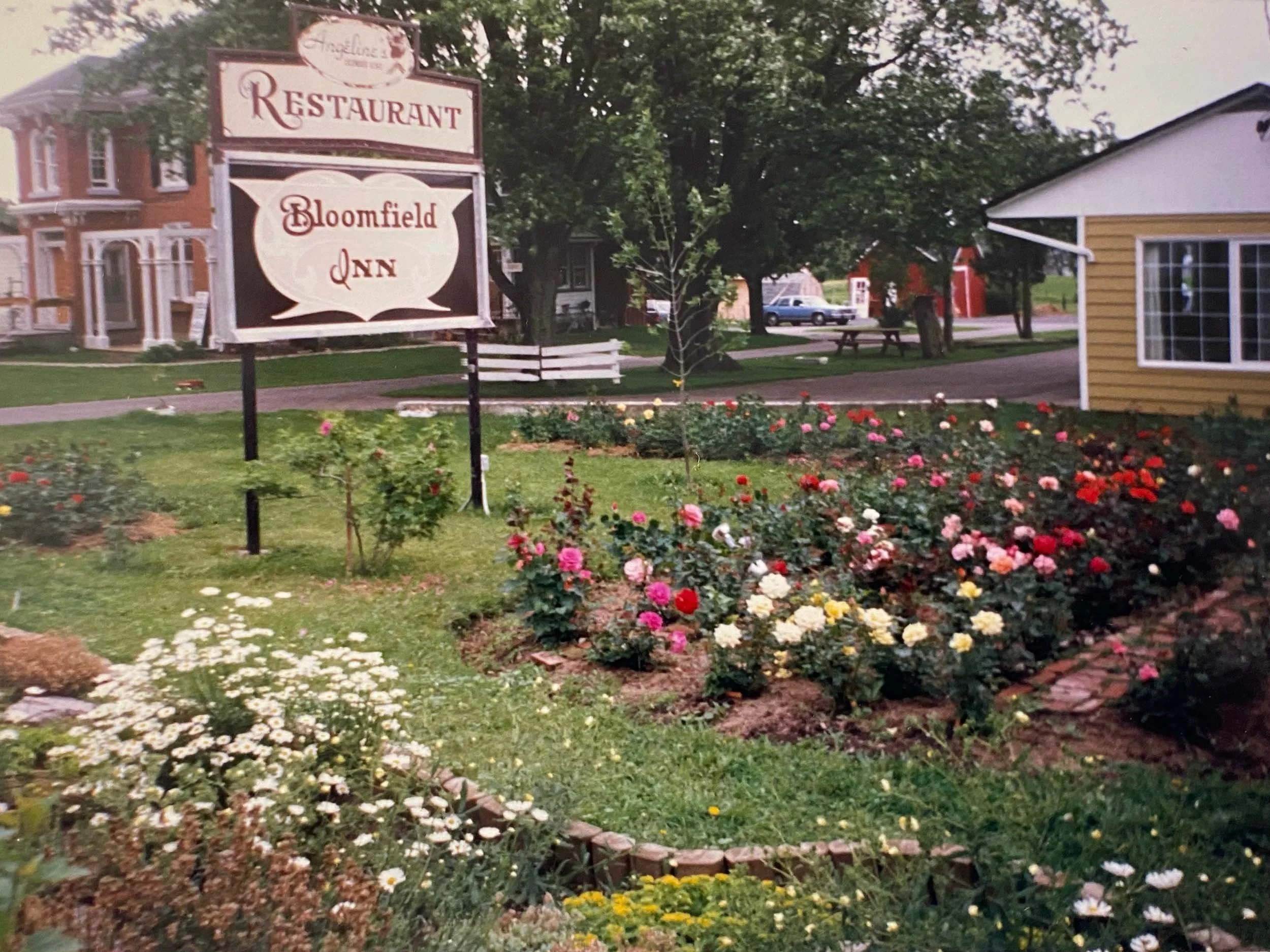 A small town scene with colorful buildings, a flower garden, a sign for Bloomfield Inn, and a large tree in the background.