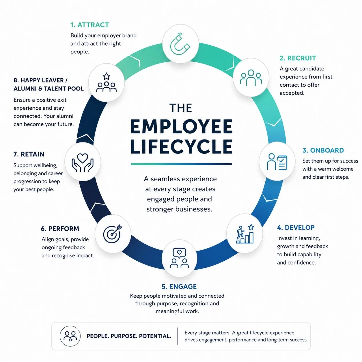The employee lifecycle infographic with numbered stages: attract, recruit, onboard, develop, engage, perform, retain, happy leaver/alumni & talent pool, illustrating steps to build and support engaged employees for stronger businesses.