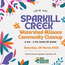 Creek Clean-up