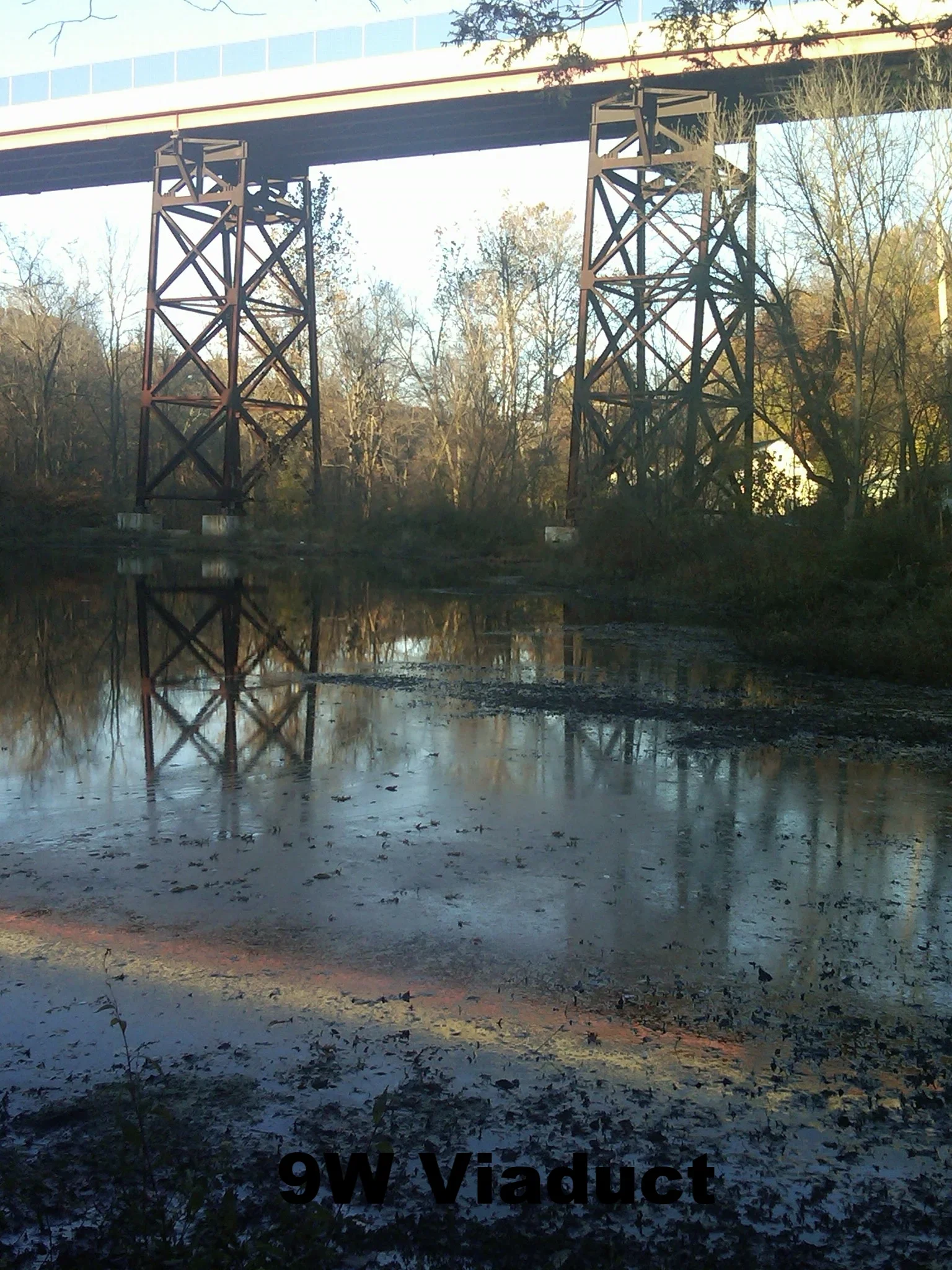 IMG00215-20101107-1554.webp