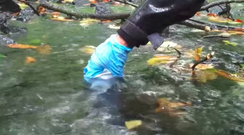 Sparkill+Creek+Water+Sampling.webp