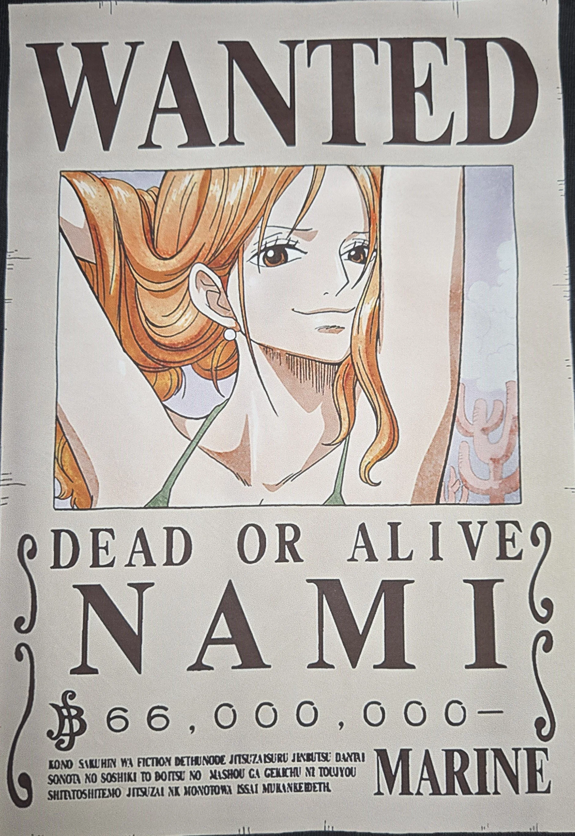 Nami Wanted.jpg