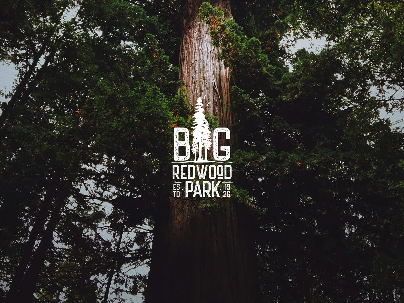 Big Redwood Park