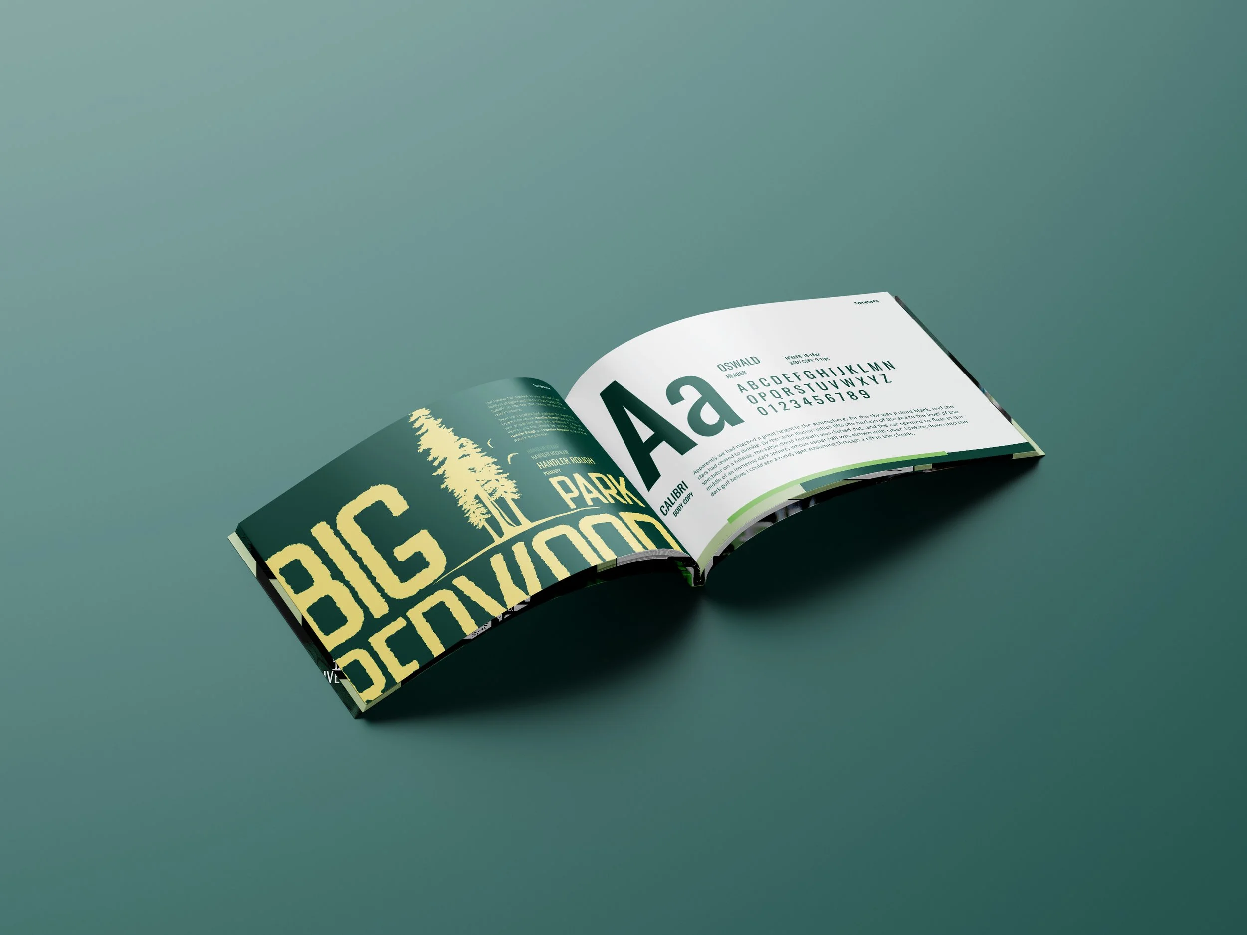 brochure-mockup.jpg