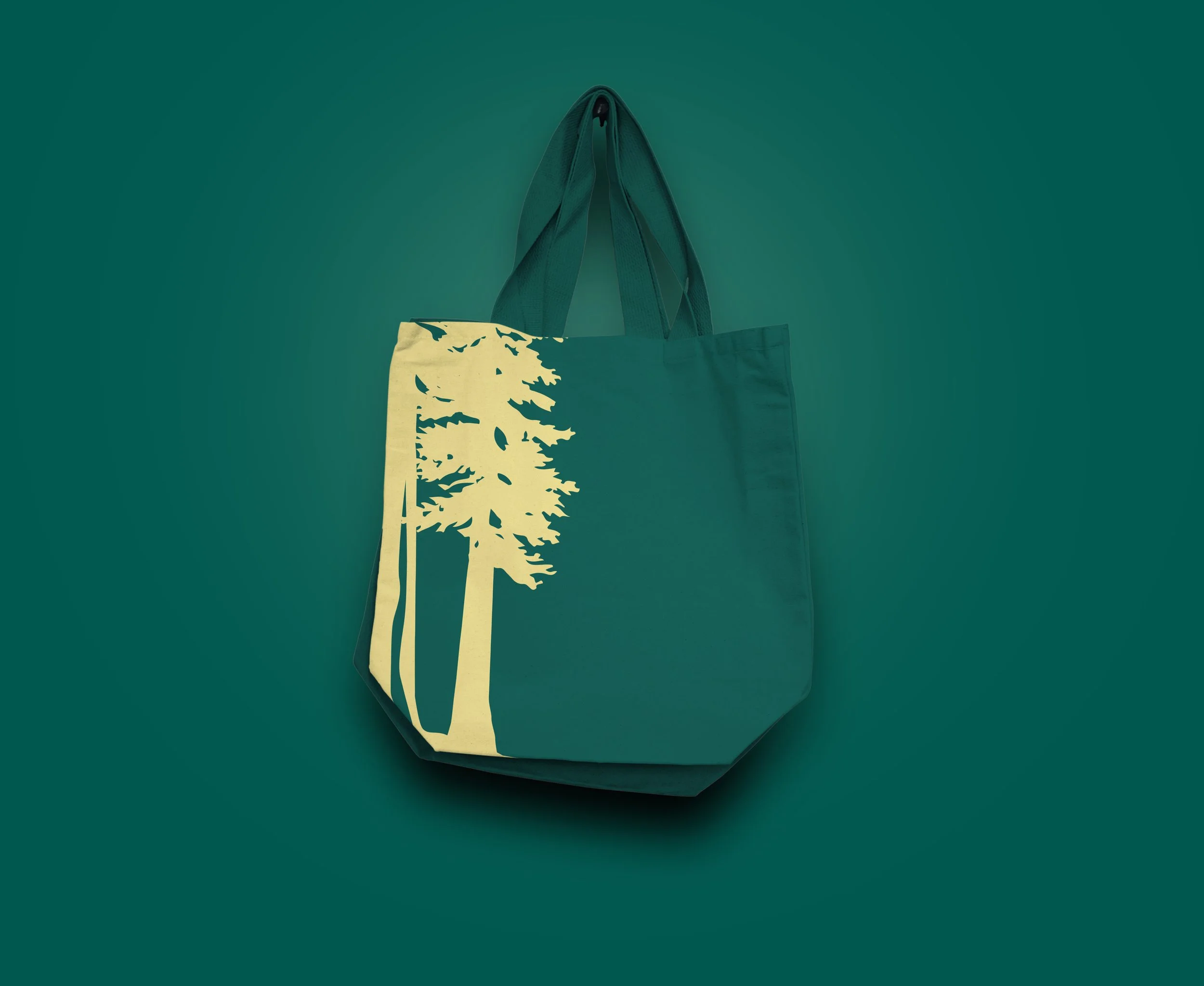 canvas bag.jpg