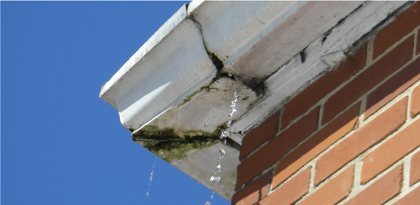 Water leaking from the white gutter onto a brick wall with moss and dirt buildup.
