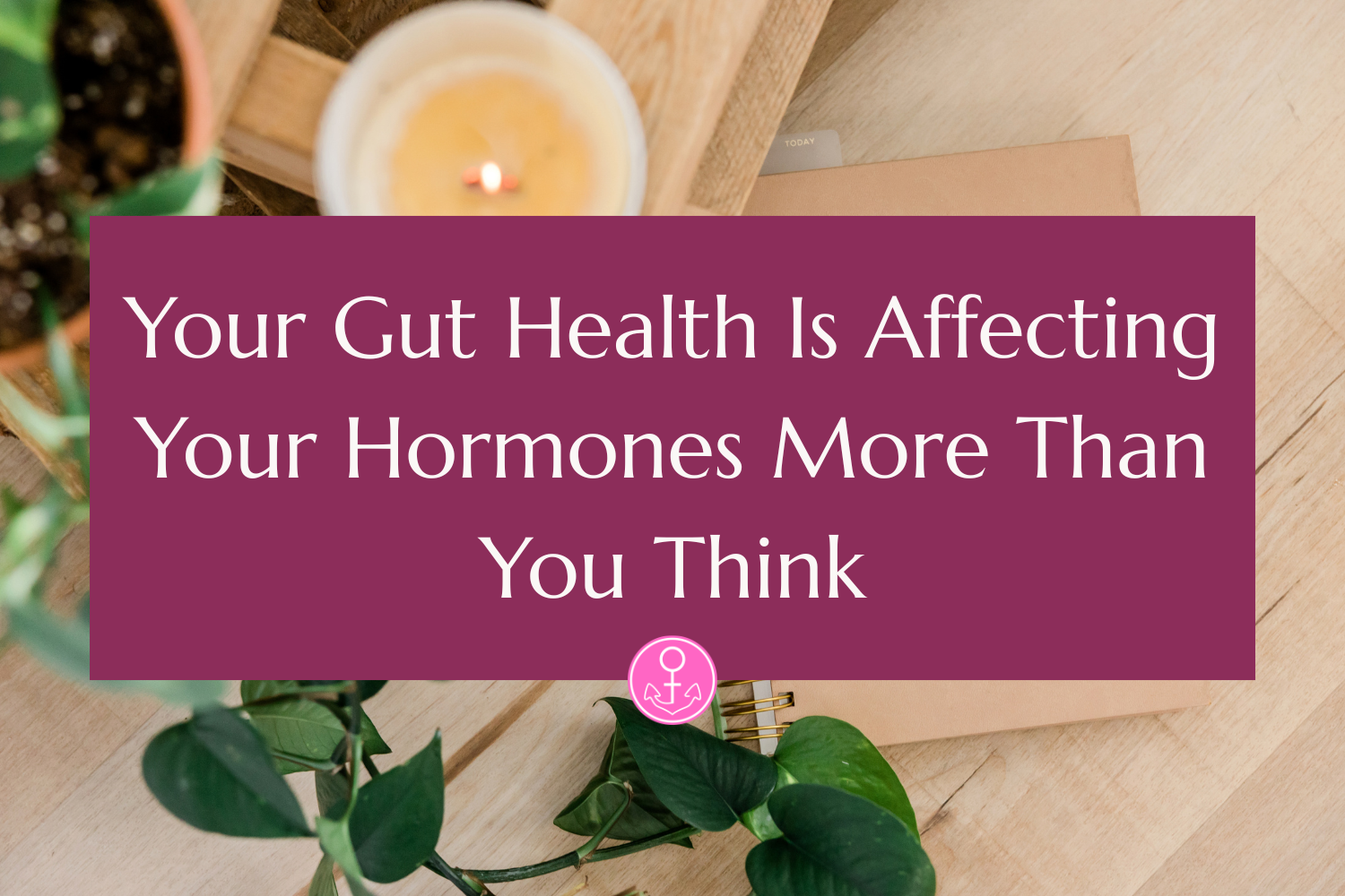Your Gut Health Is Affecting Your Hormones More Than You Think