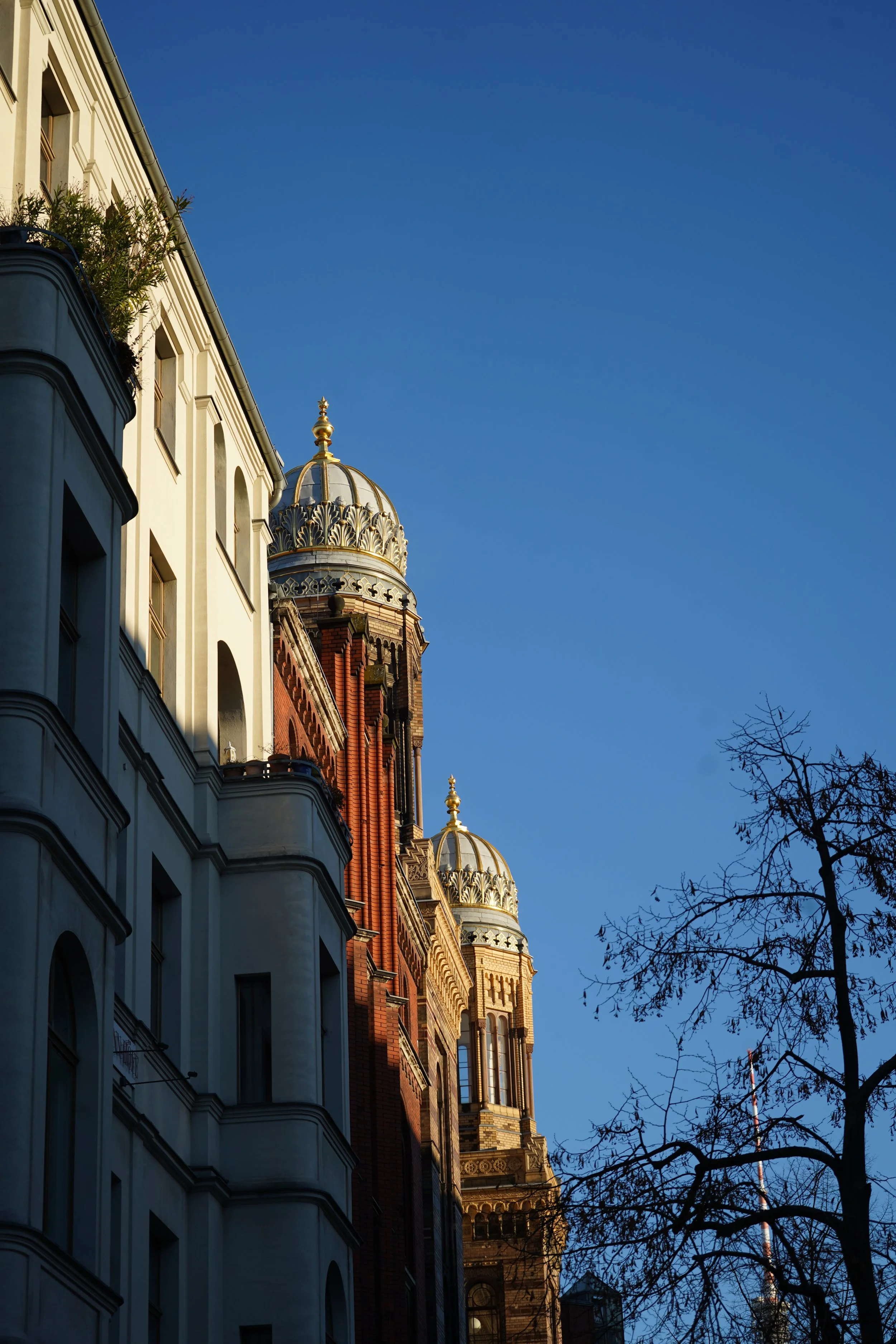 Cityscape with historic building featuring white and red brick architecture, ornate domes with gold accents, and a clear blue sky, with a leafless tree in the foreground.