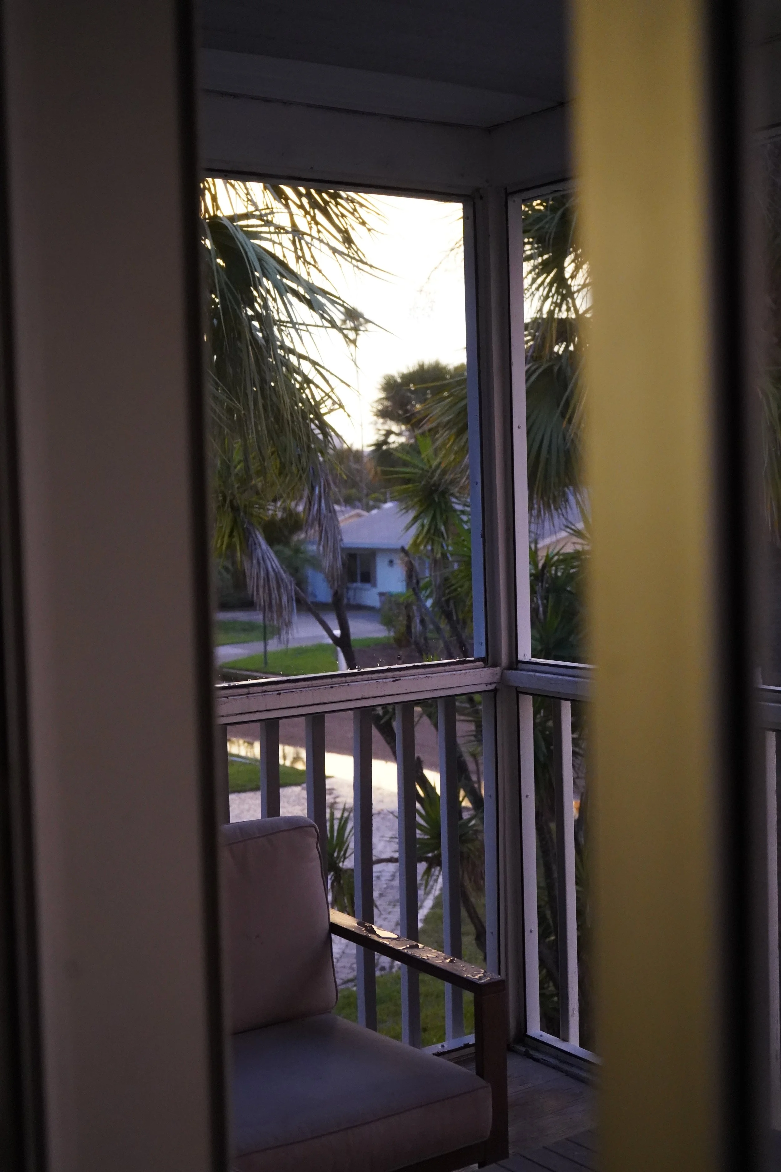 View of palm trees and neighborhood outside a window at sunset