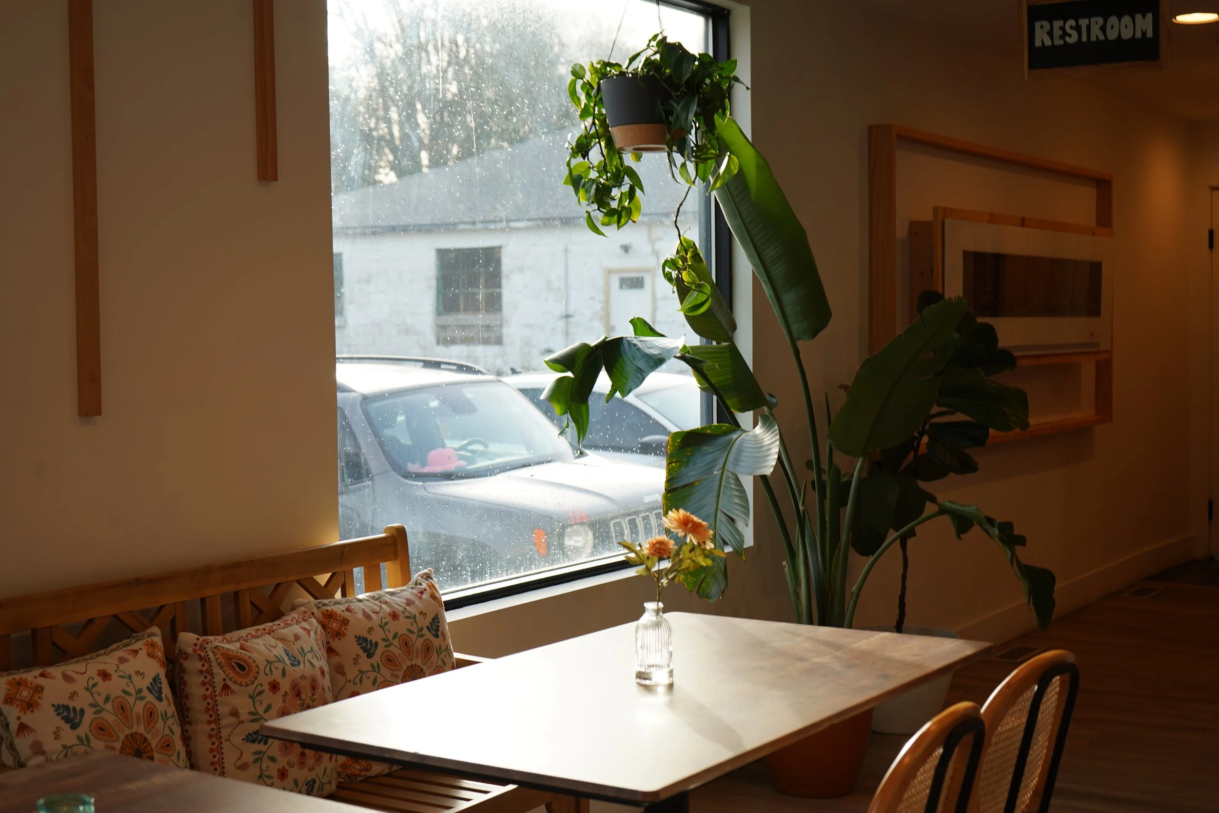 Interior of a room with a wooden chair and a white table. On the table is a glass jar with flowers. Tall houseplants next to a large window, through which parked cars and a building are visible. A sign reading 'Restroom' is partially visible in the u