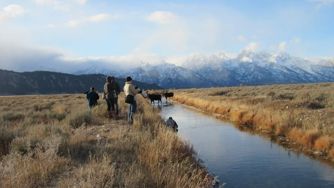 Guests Photographing Moose