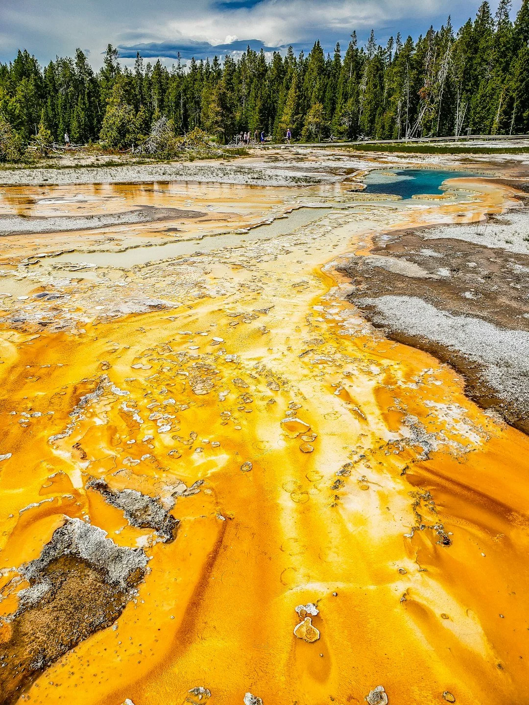 Bacterial Mats