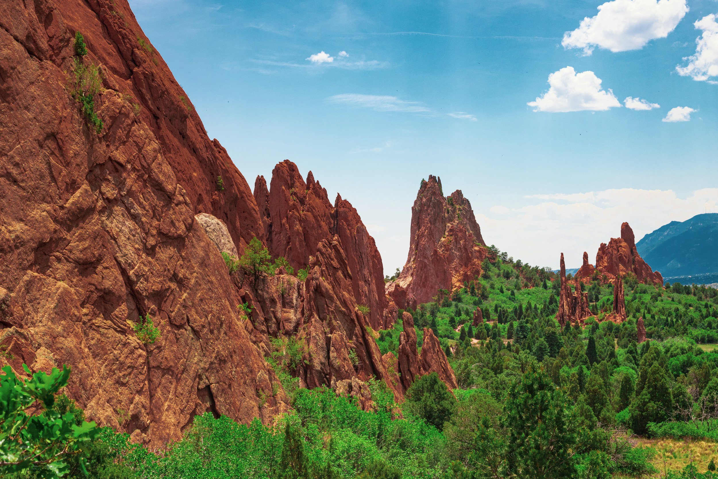 Sandstone Fins