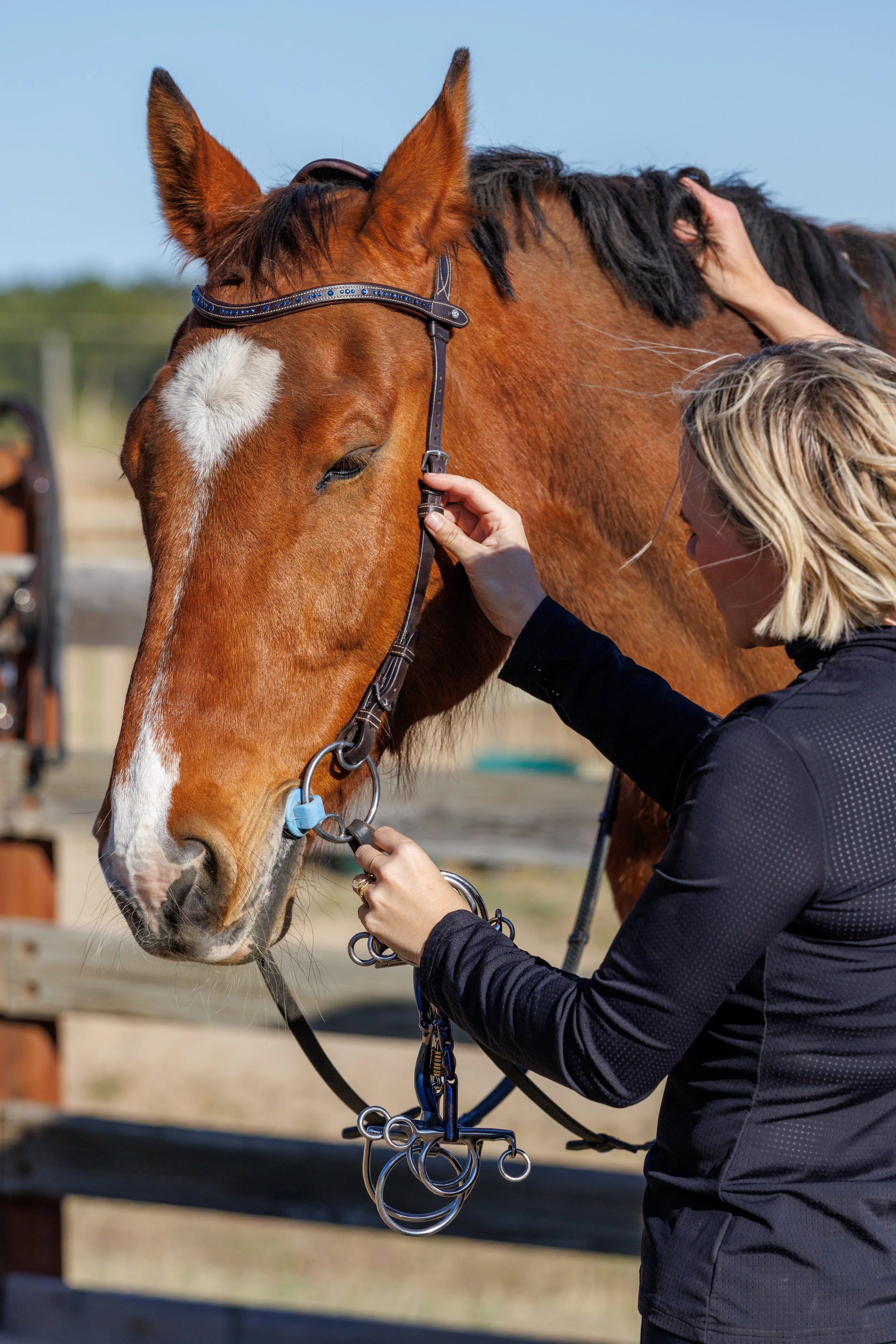 A person adjusting the bridle of a brown horse with a white heart-shaped mark on its forehead during daytime.