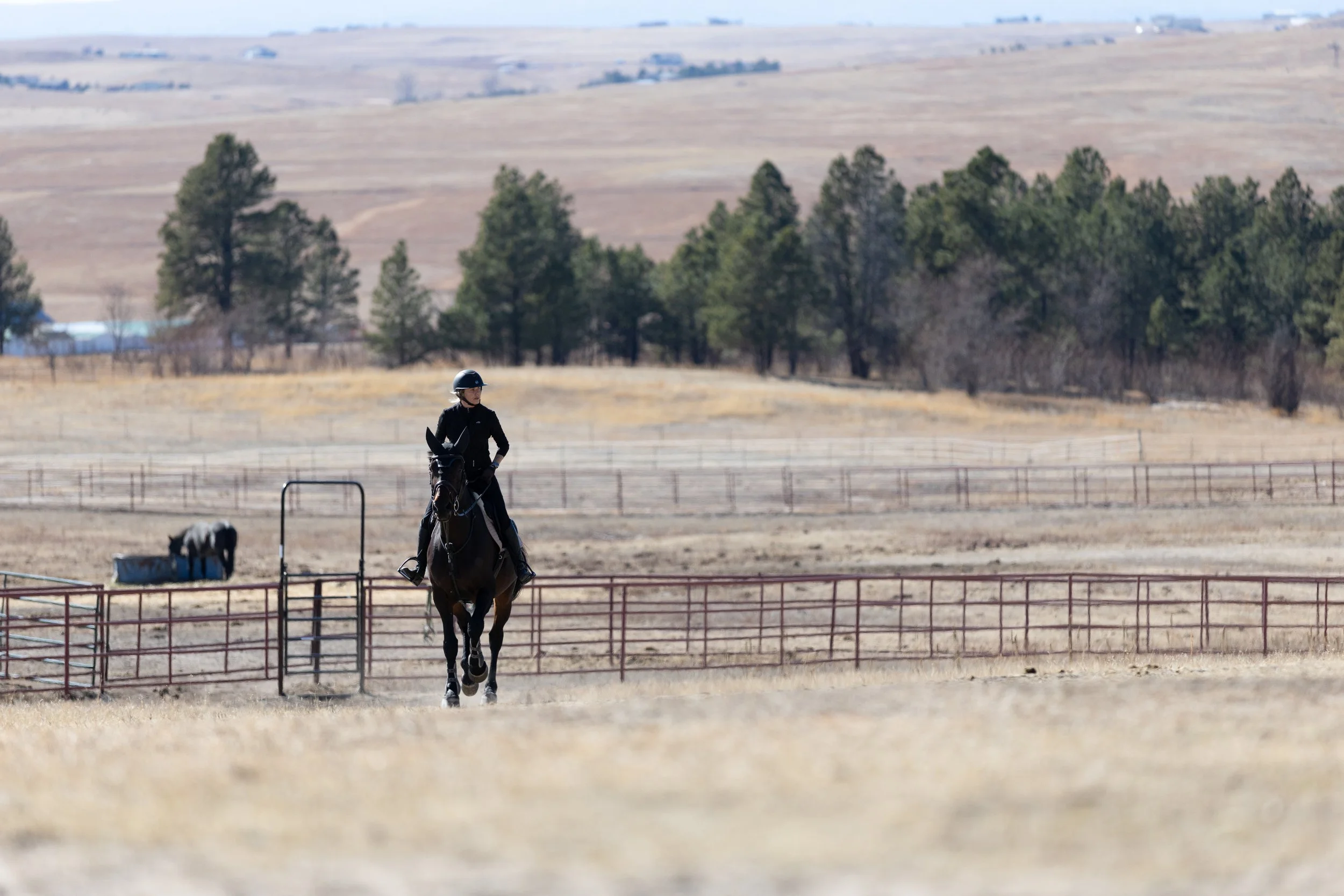 A person riding a black horse in a fenced outdoor area with dry grass and trees in the background.