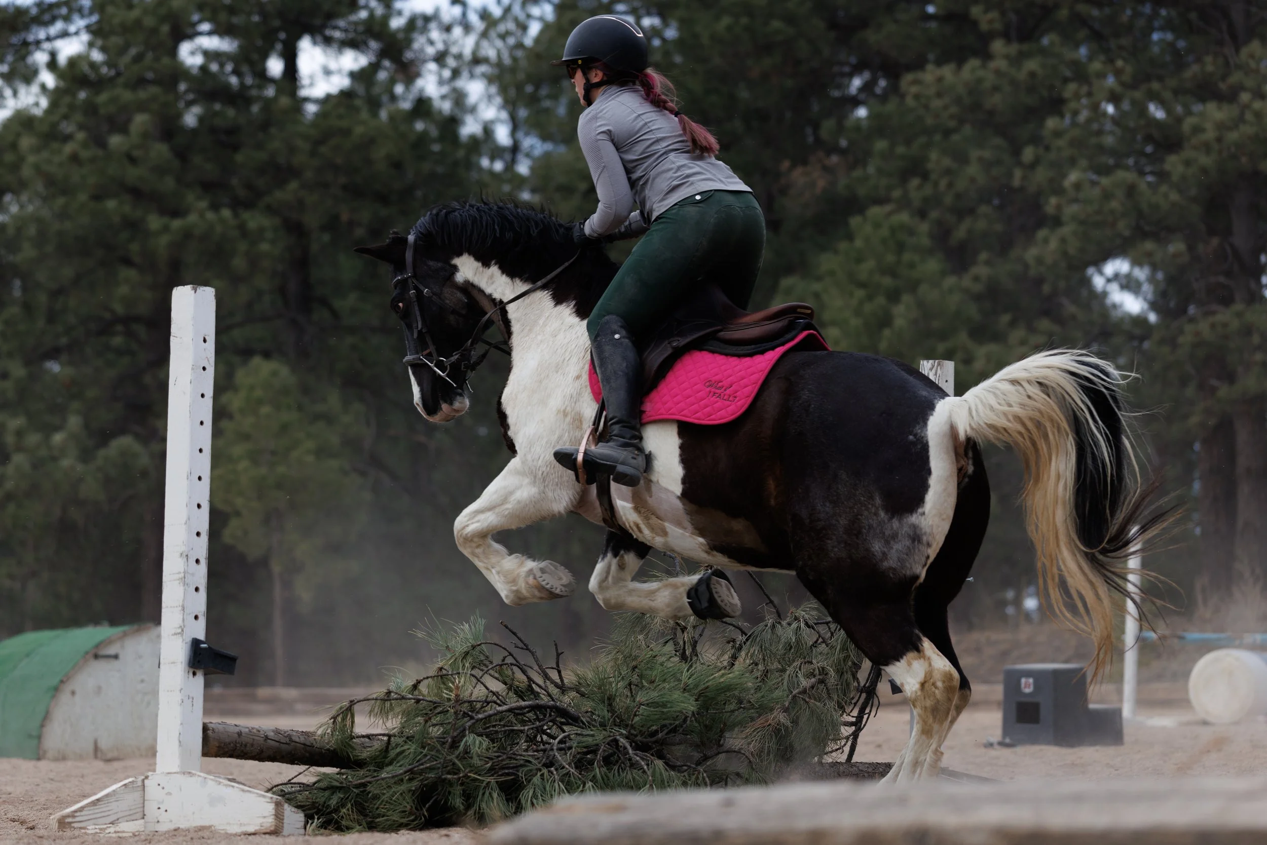 A woman riding a black and white pinto horse jumps over an obstacle on a dirt course with trees in the background.
