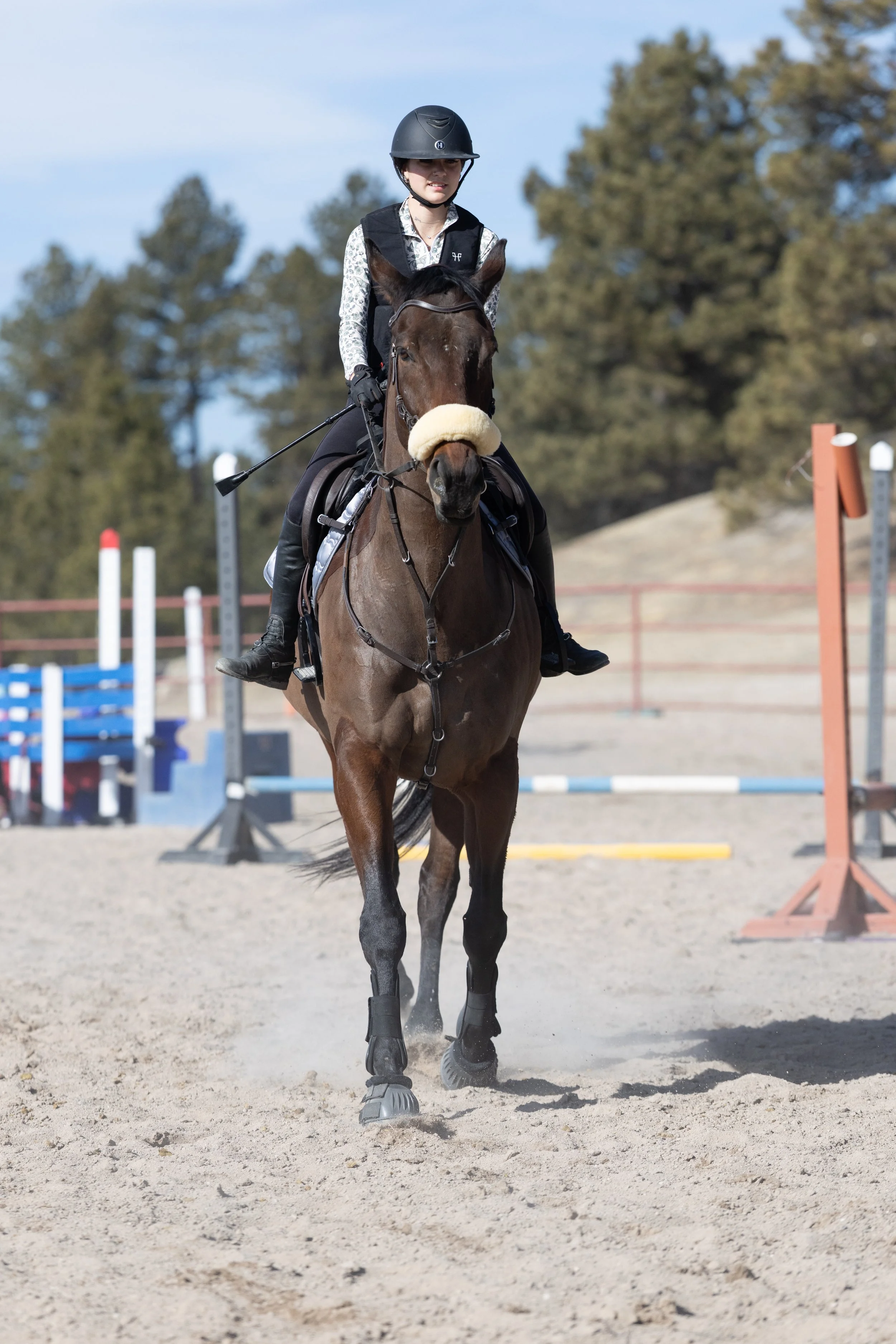 Young female equestrian riding a brown horse on a sandy outdoor riding arena during daytime, wearing a black riding helmet, black protective vest, and patterned shirt, with construction jumps and trees in the background.