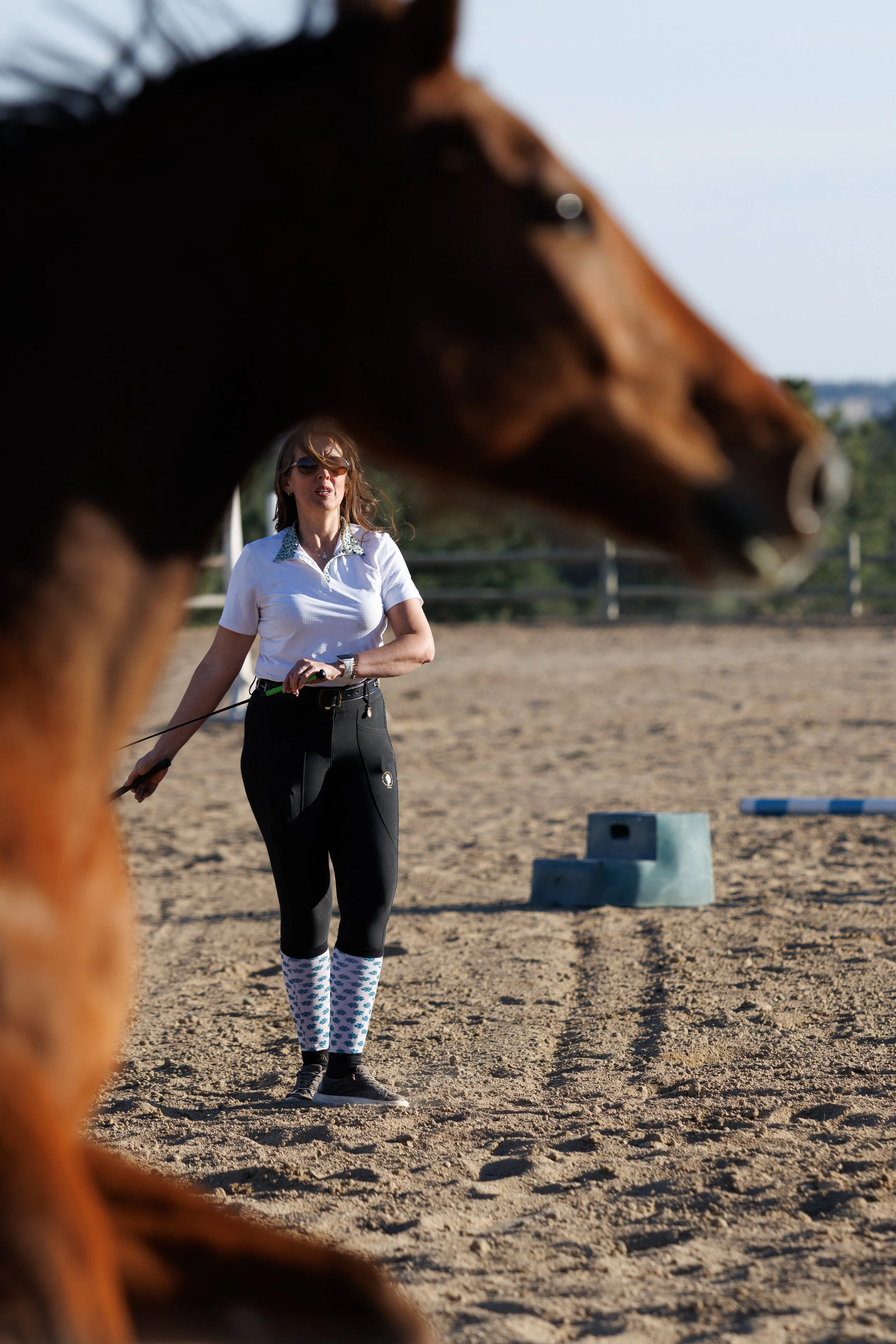 A woman in black riding pants, white polo shirt, and patterned socks stands on a dirt riding arena holding a lunge line, with a brown horse in the foreground partially obscuring the view.