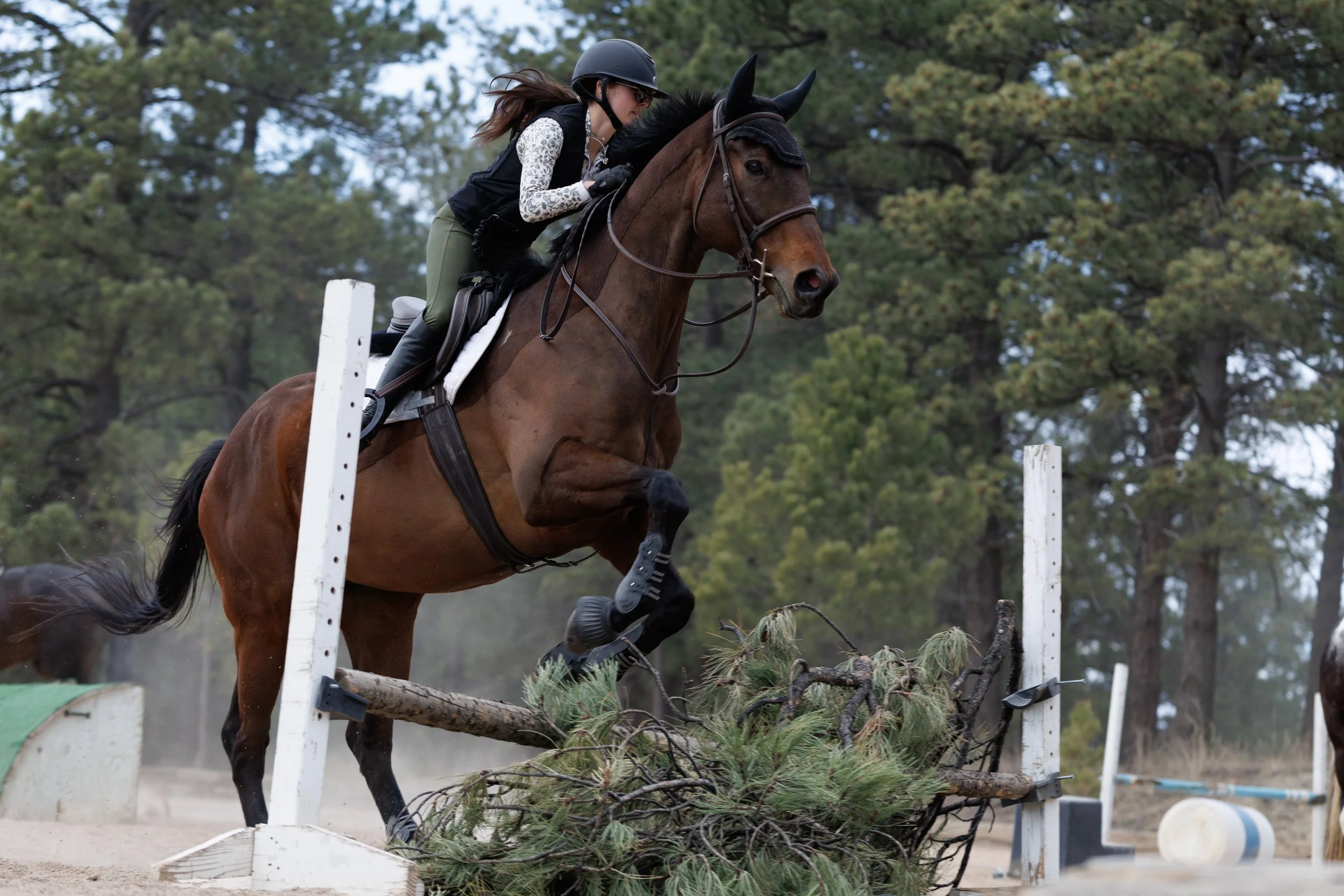 A woman riding a brown horse jumps over an obstacle made of logs and branches on an outdoor equestrian course surrounded by trees.